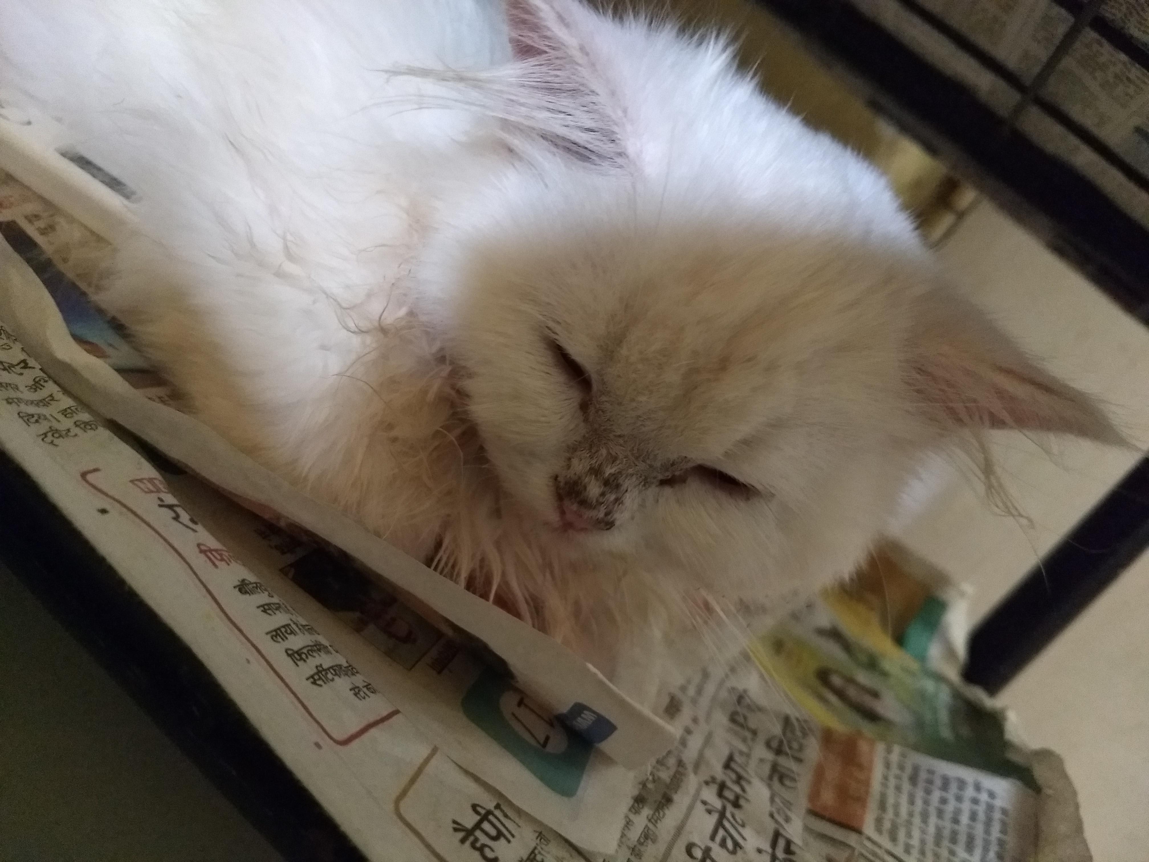 Question details sensitive content