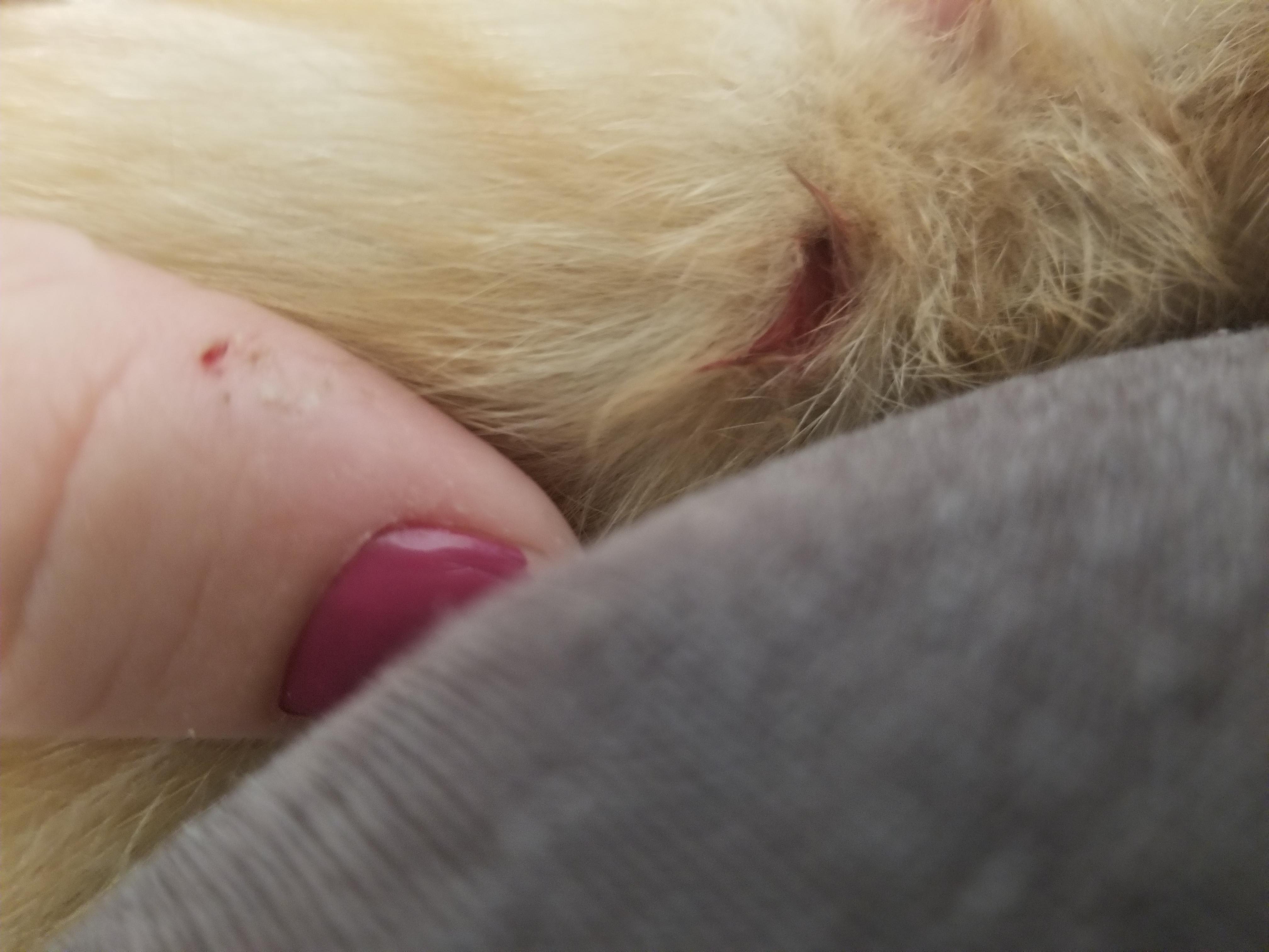 Question details sensitive content