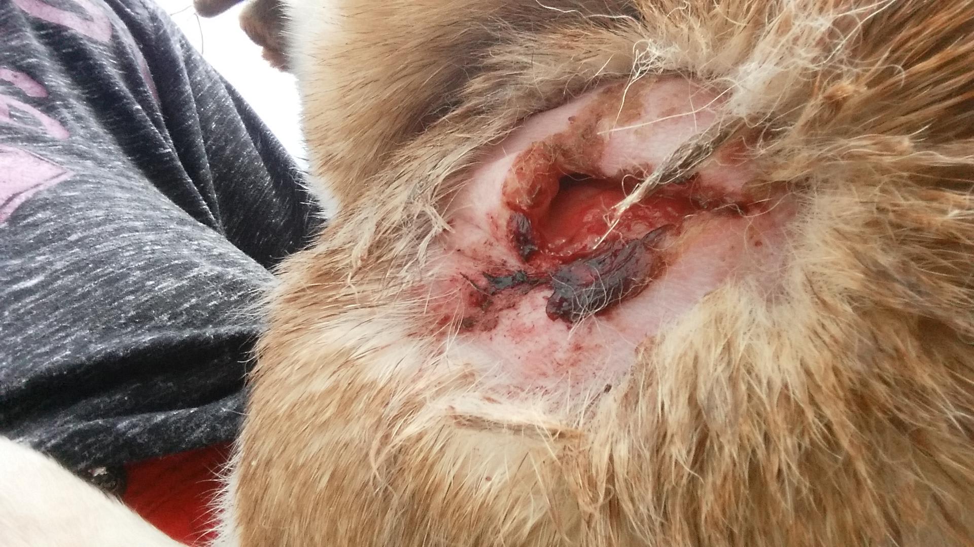 Question details sensitive content