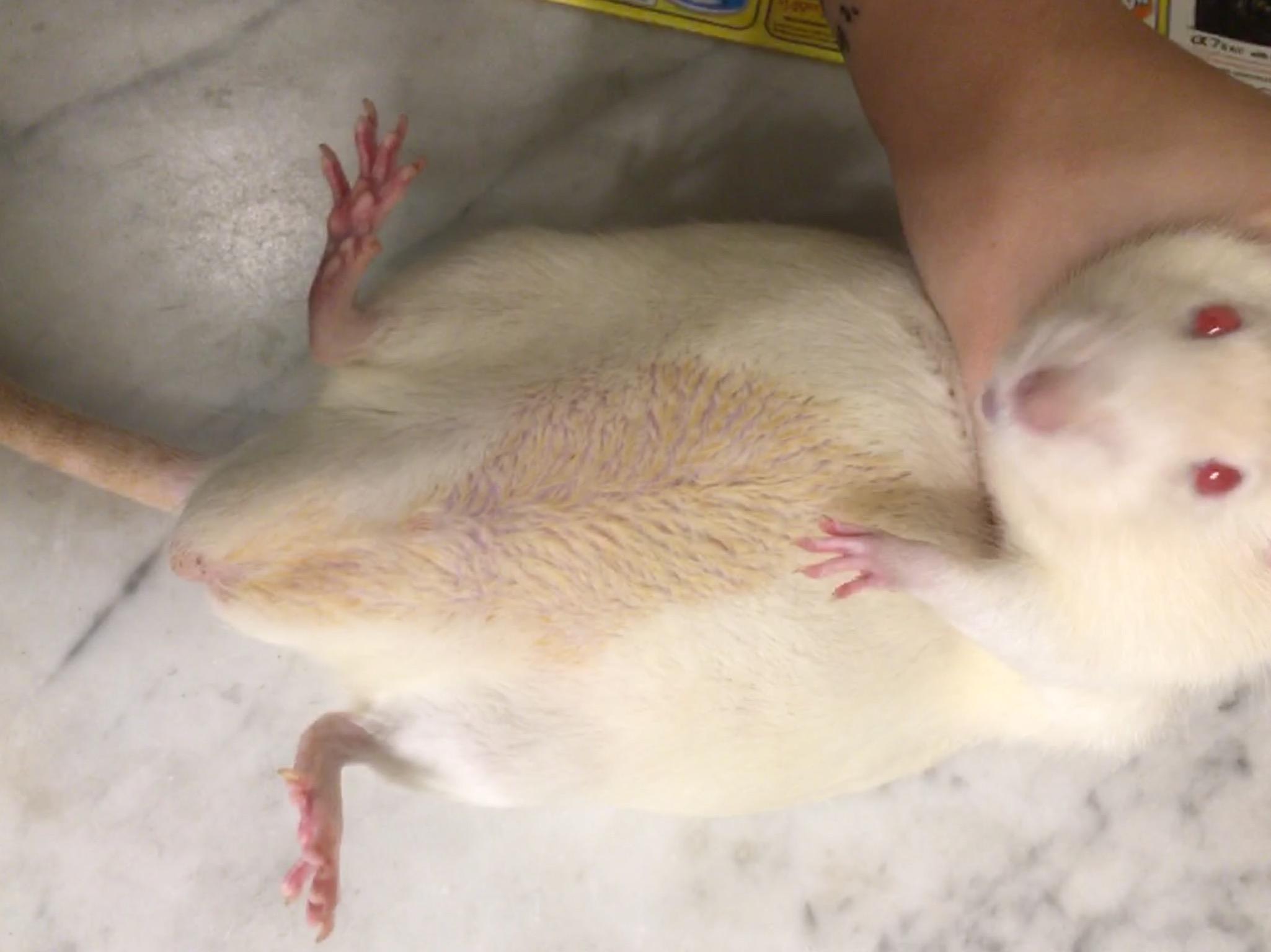 Question details sensitive content