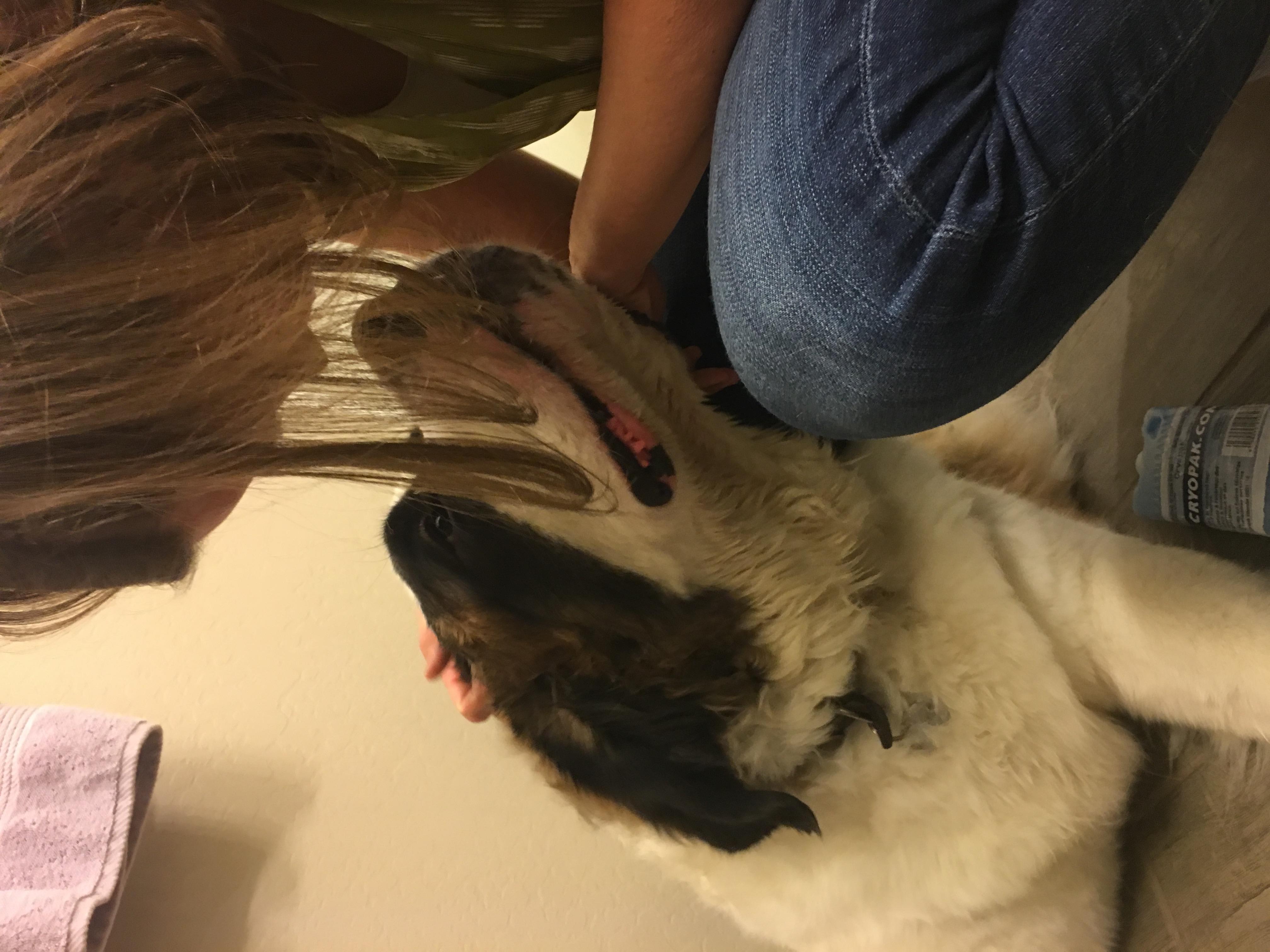 Question details sensitive content