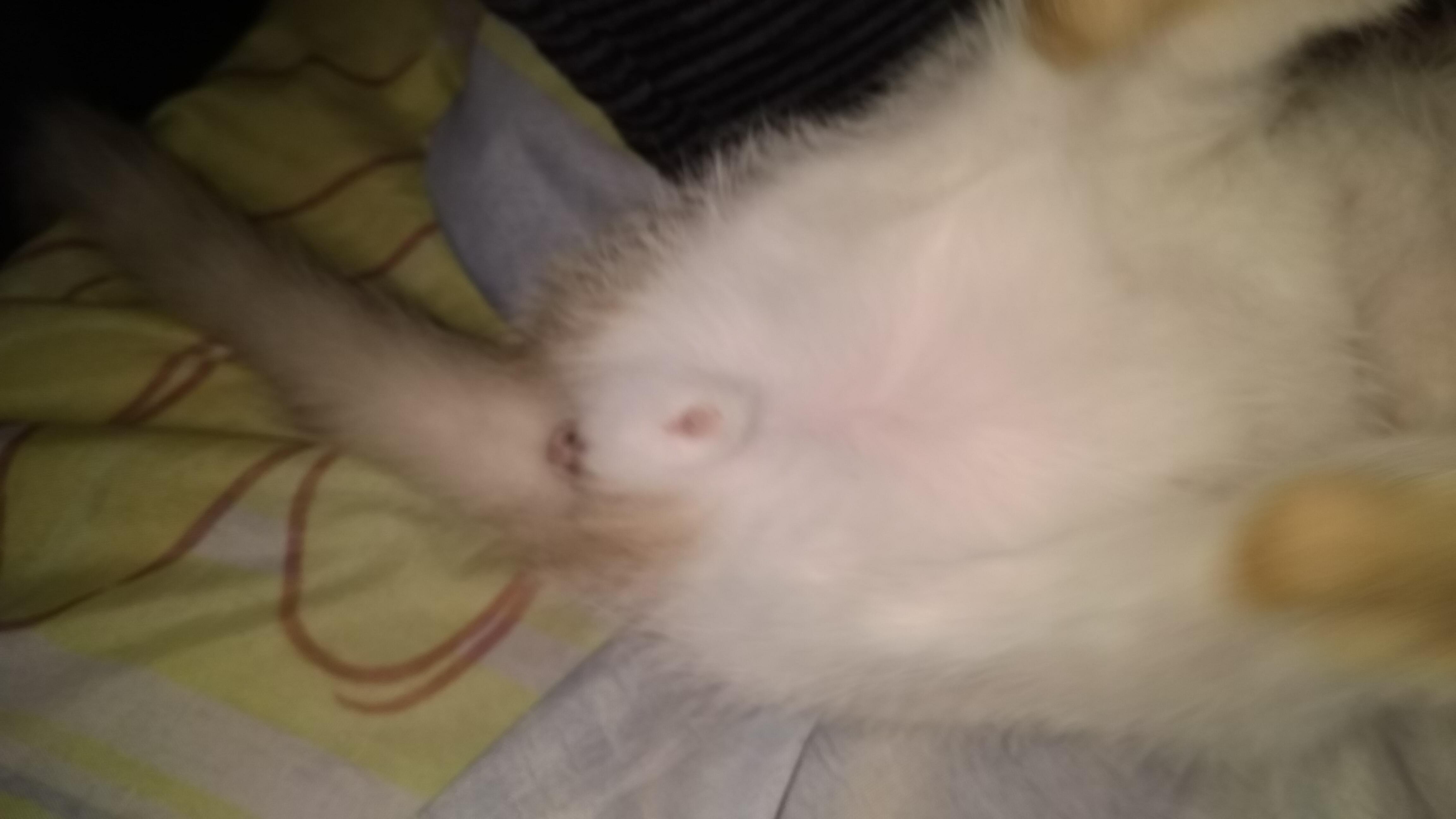 Question details sensitive content