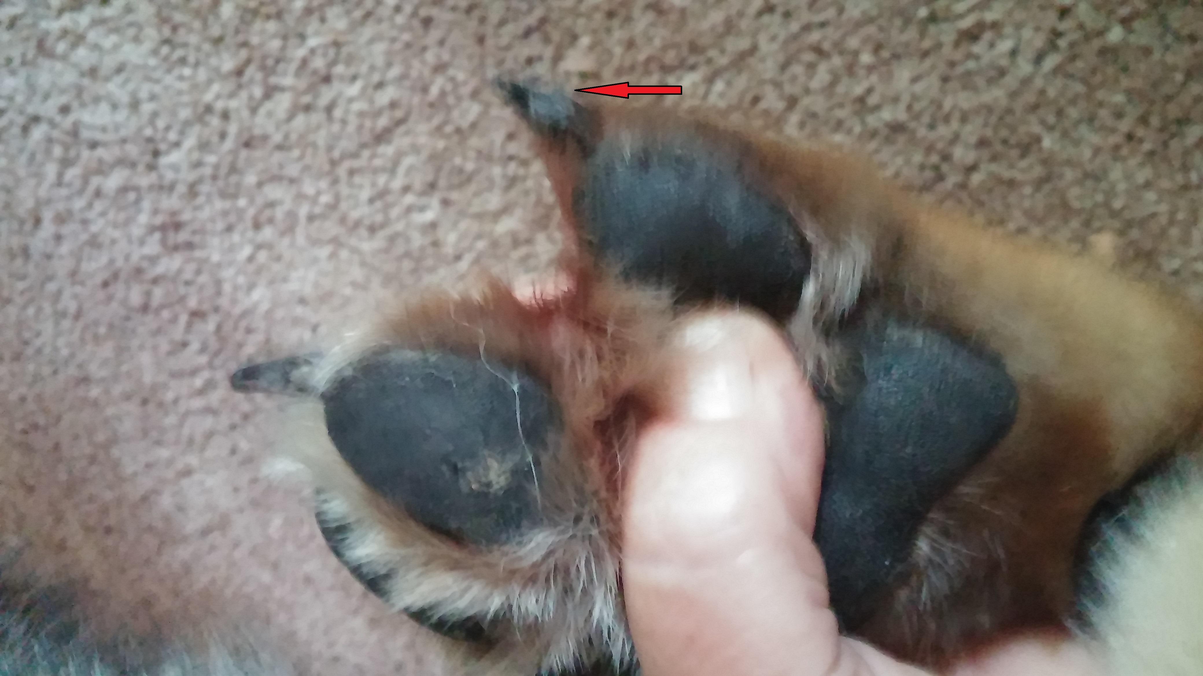 Question details sensitive content