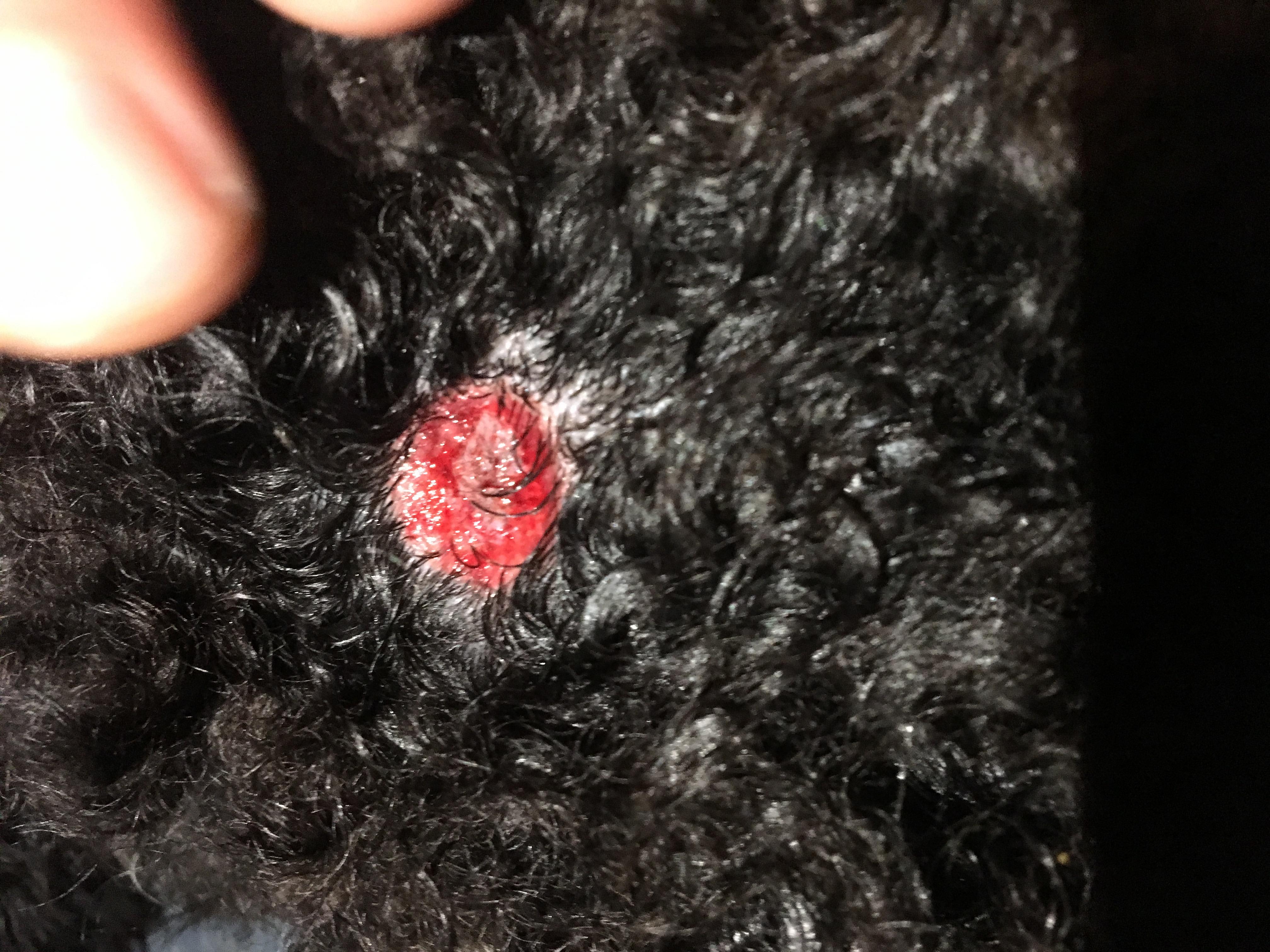 Question details sensitive content