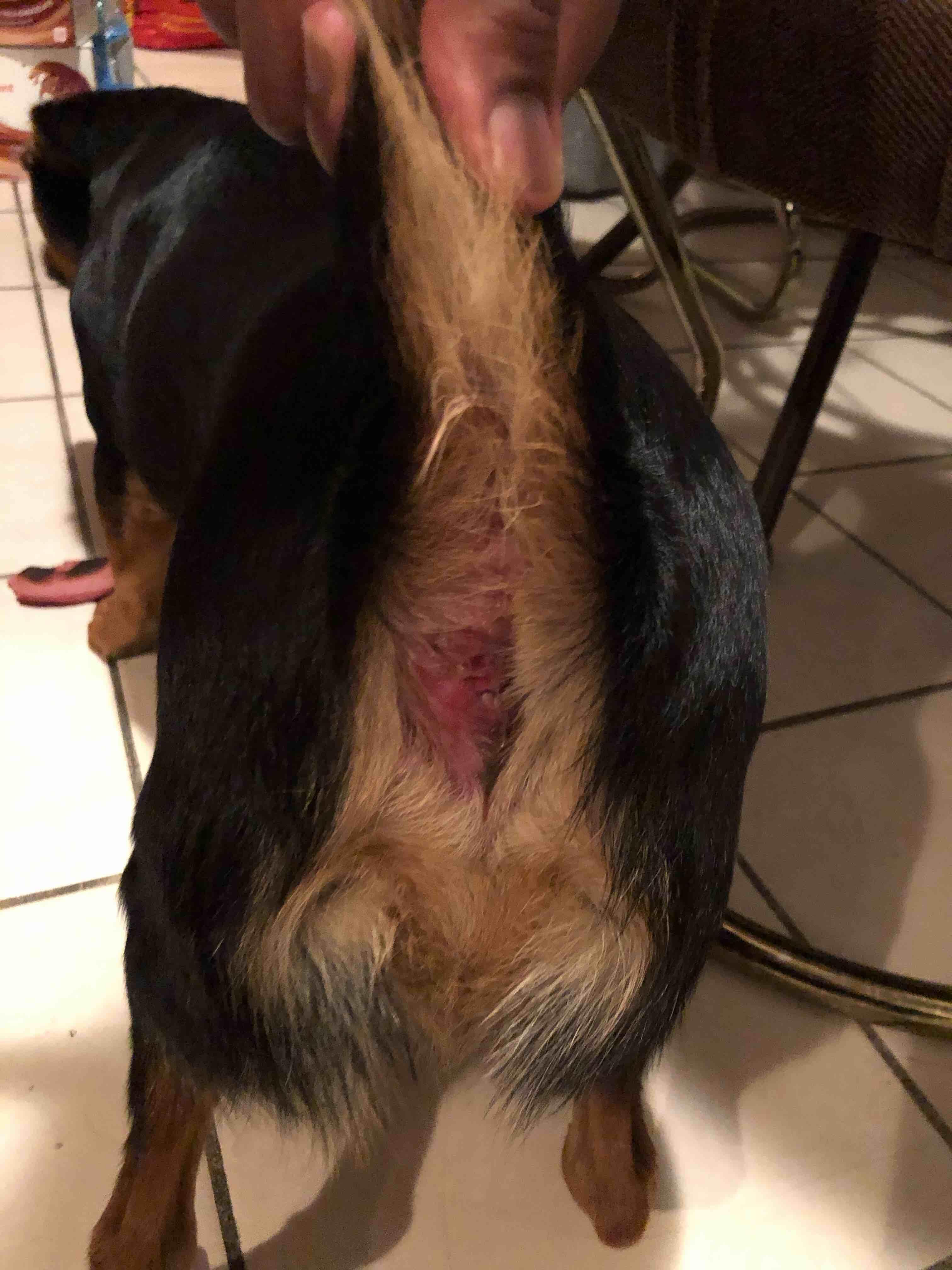 Question details sensitive content