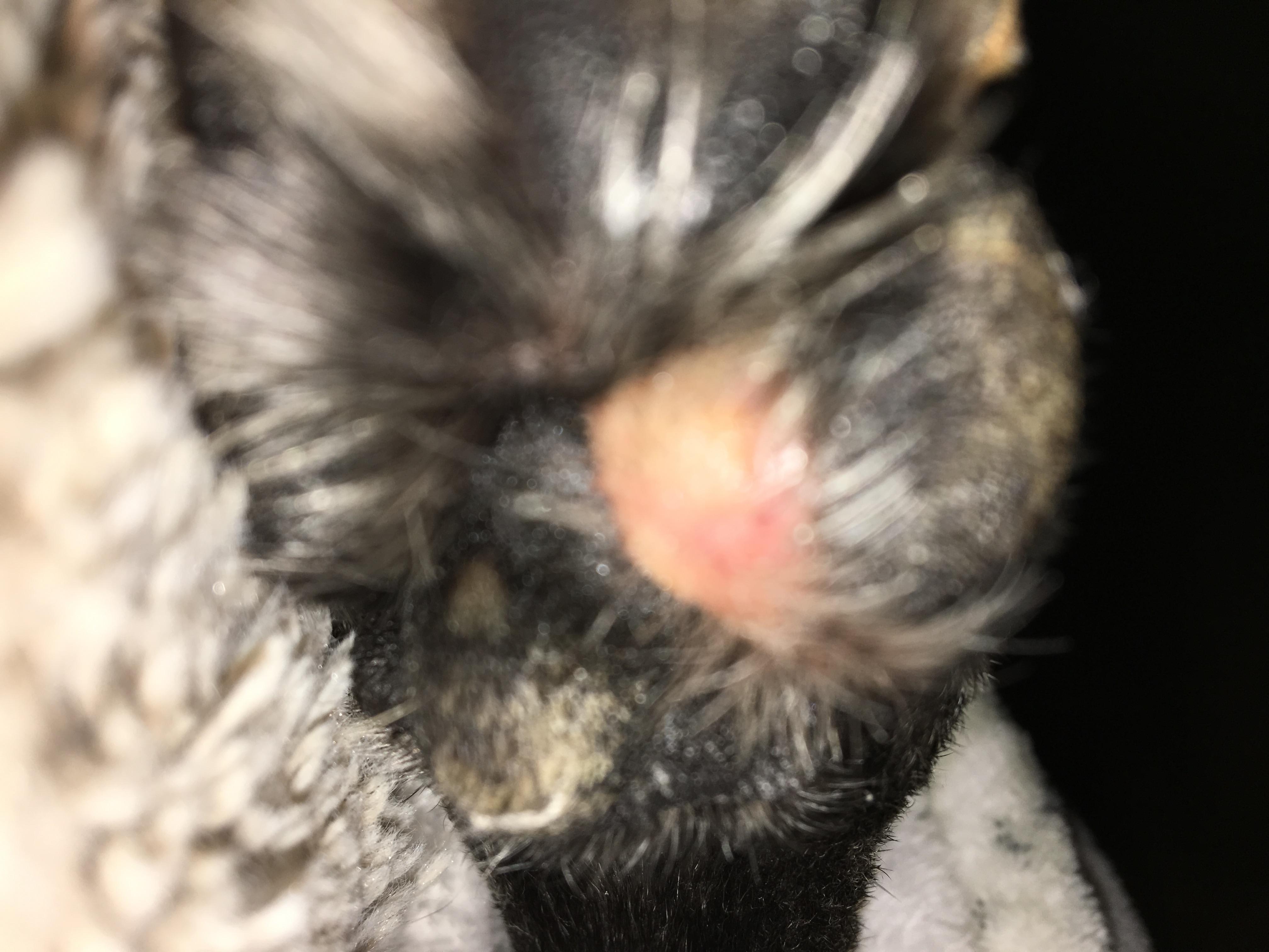 Question details sensitive content