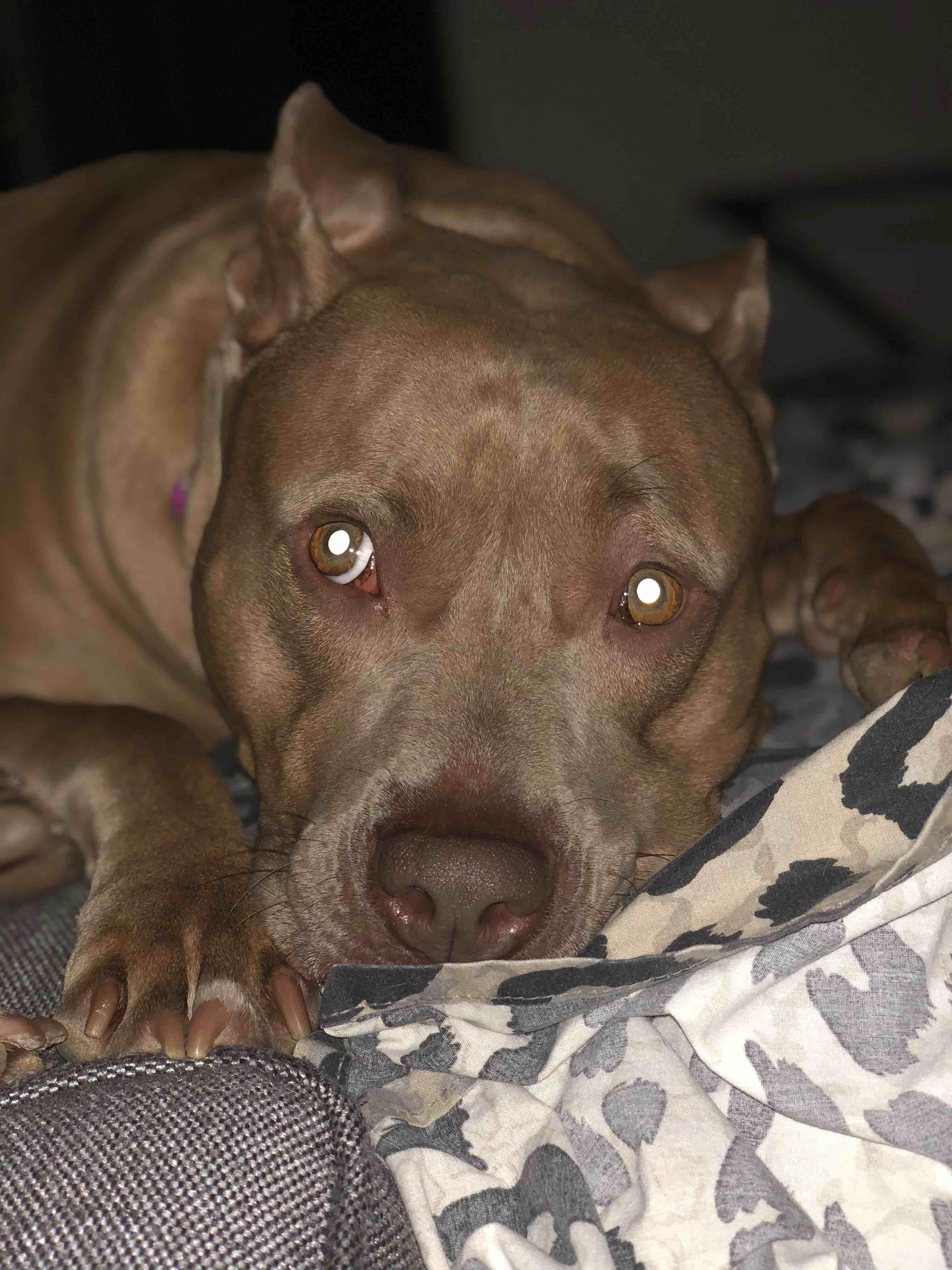 Question details sensitive content