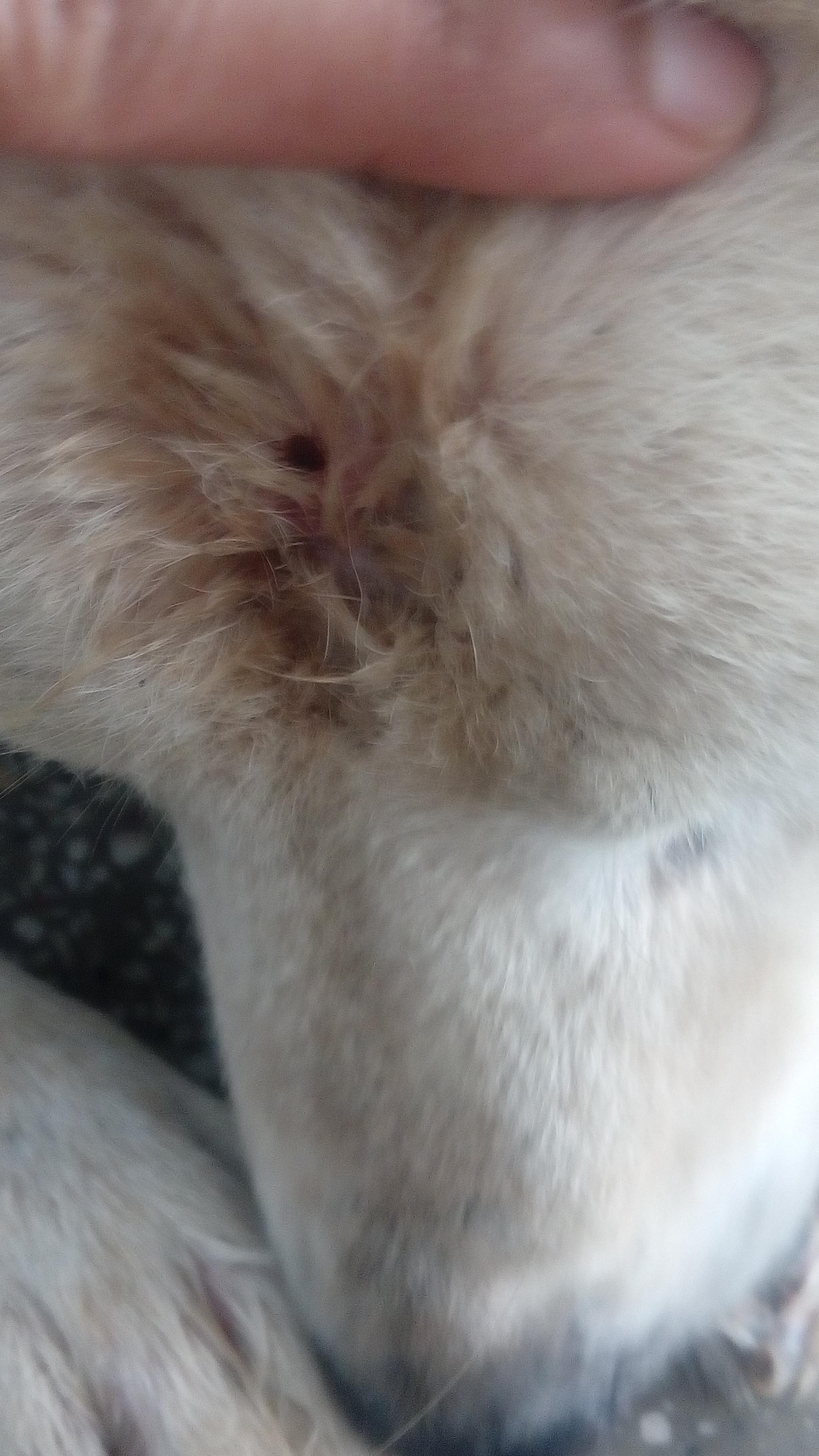 Question details sensitive content