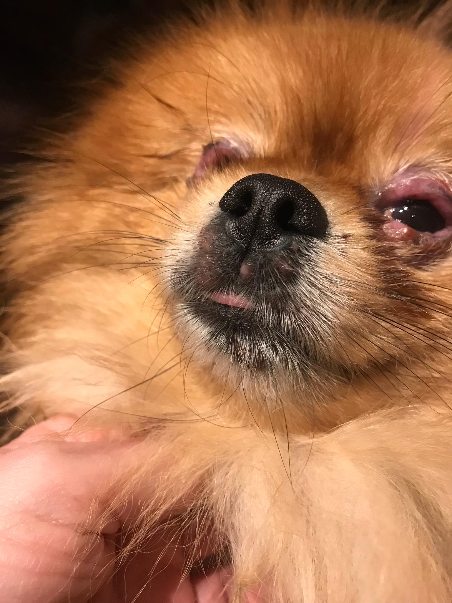 Question details sensitive content