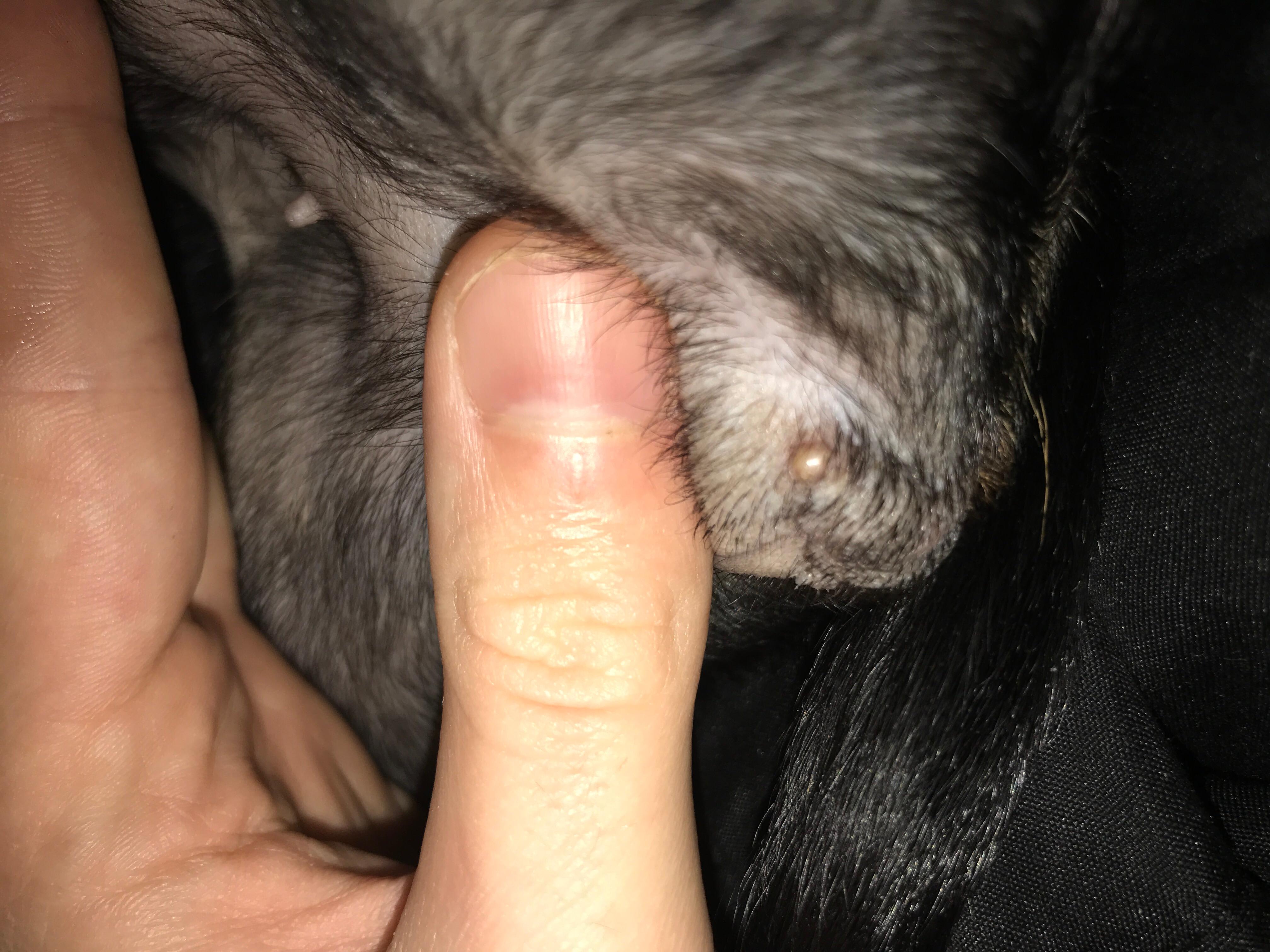 Question details sensitive content