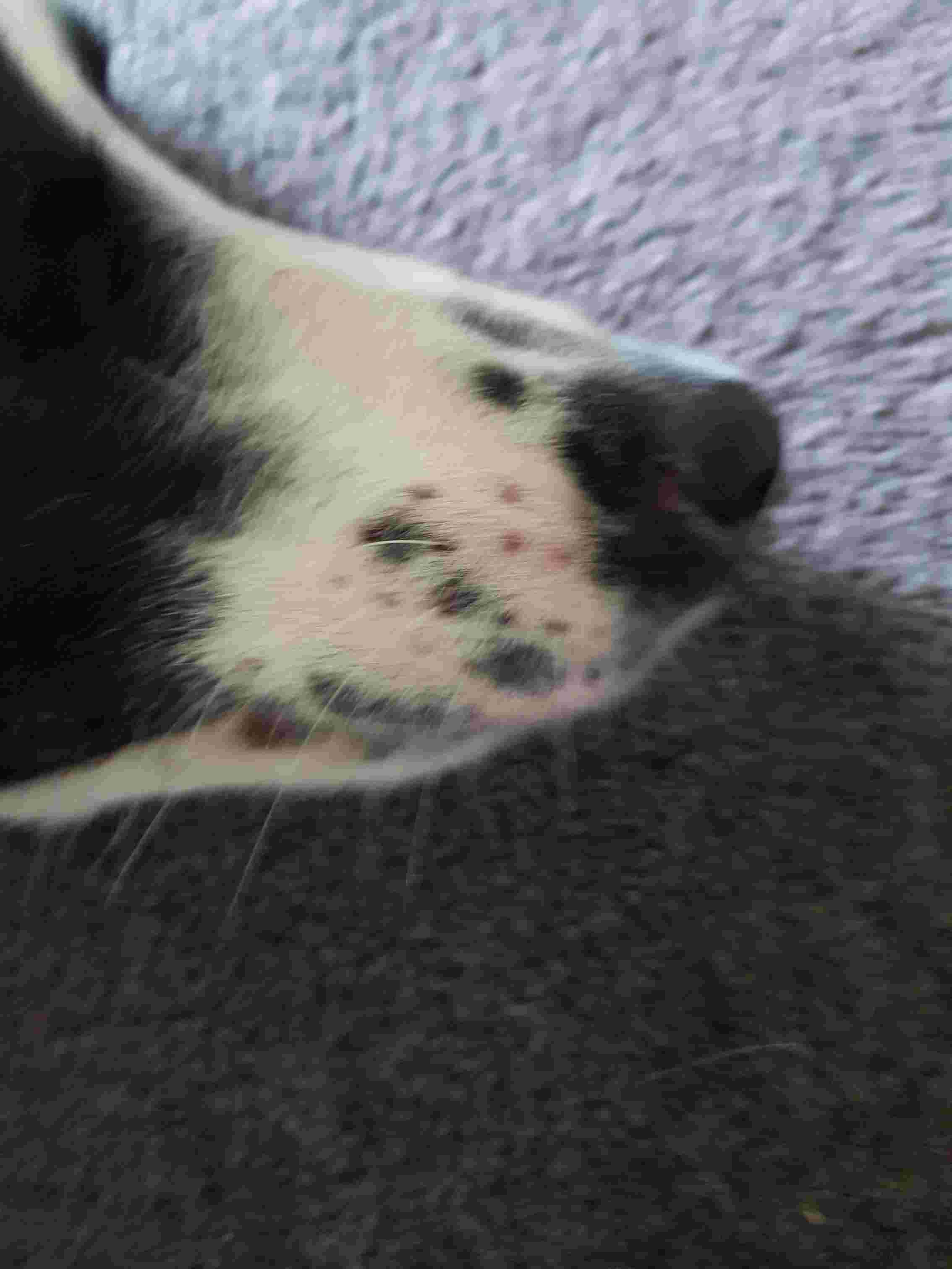 Question details sensitive content