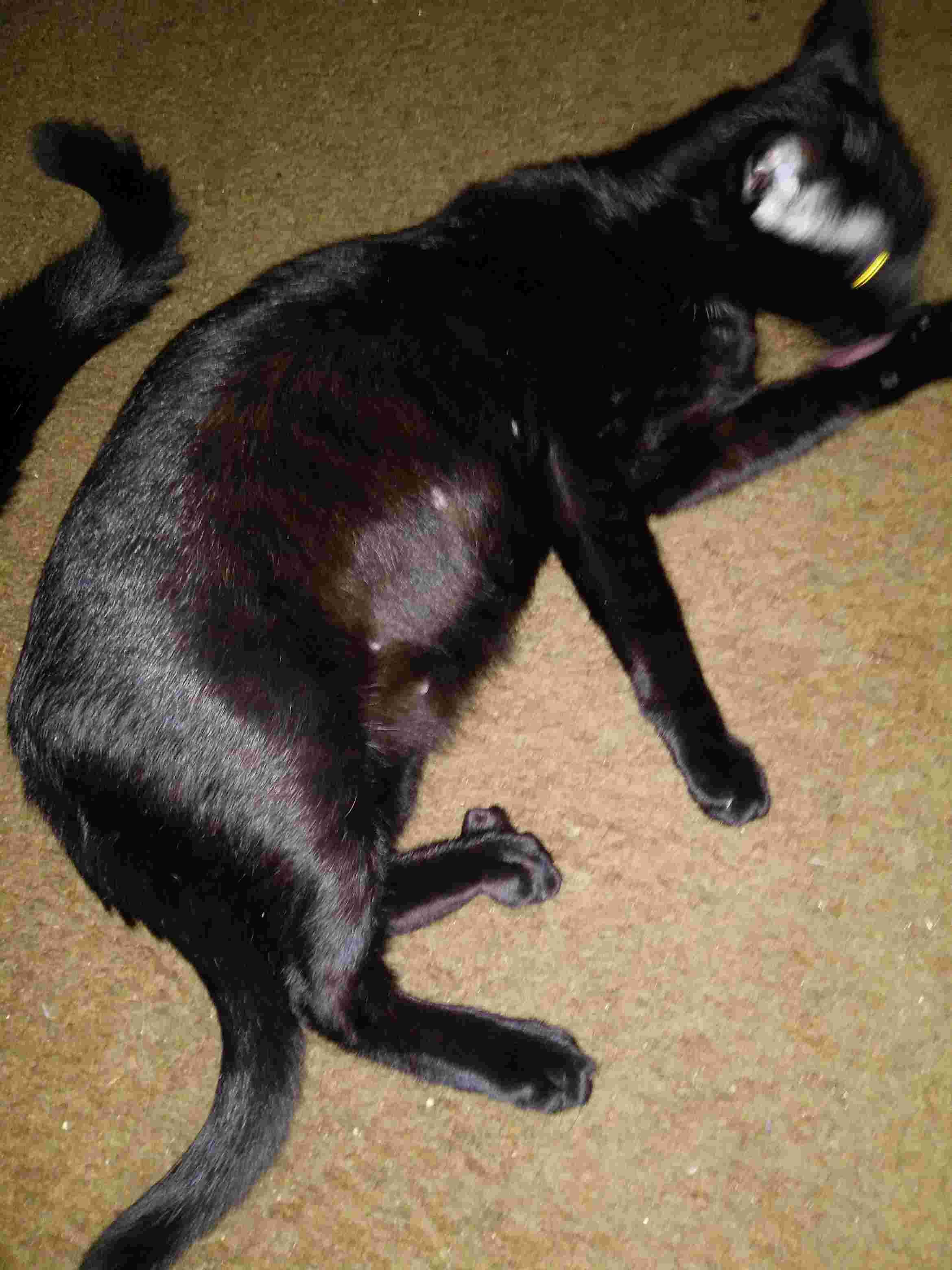 Question details sensitive content