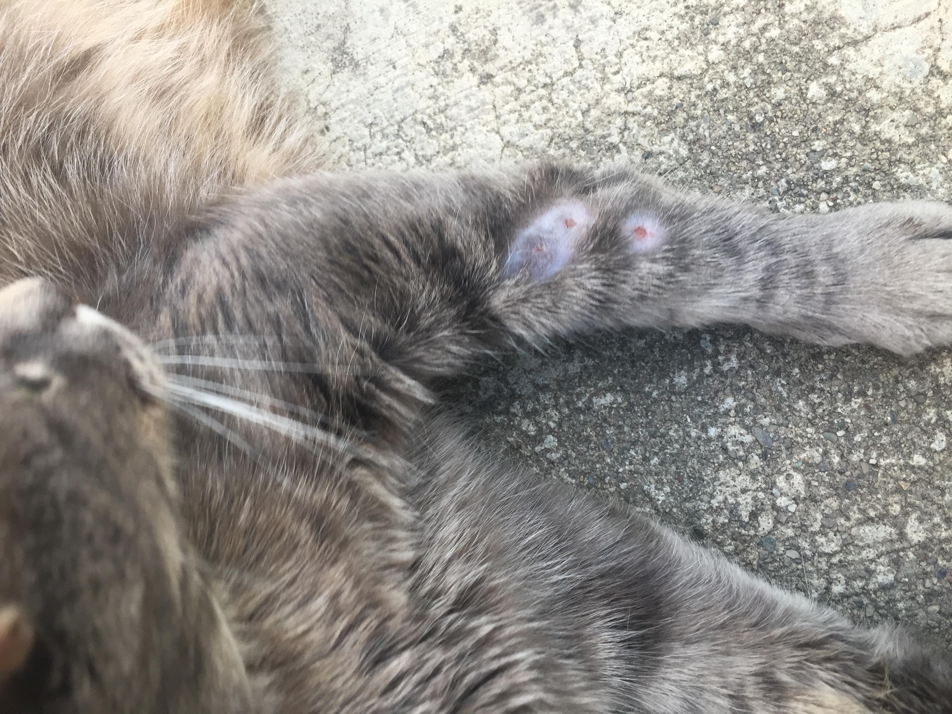 Question details sensitive content