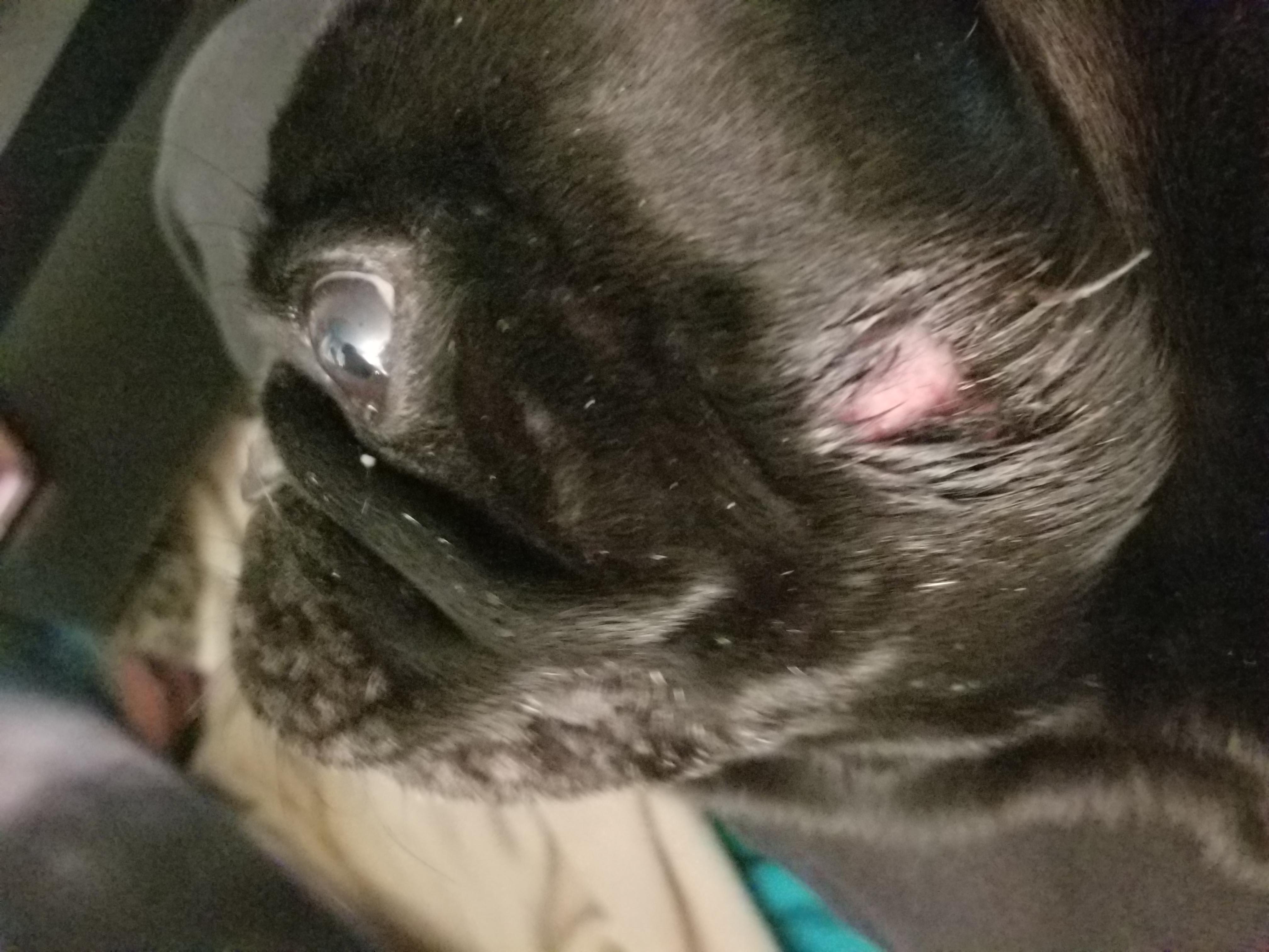 Question details sensitive content