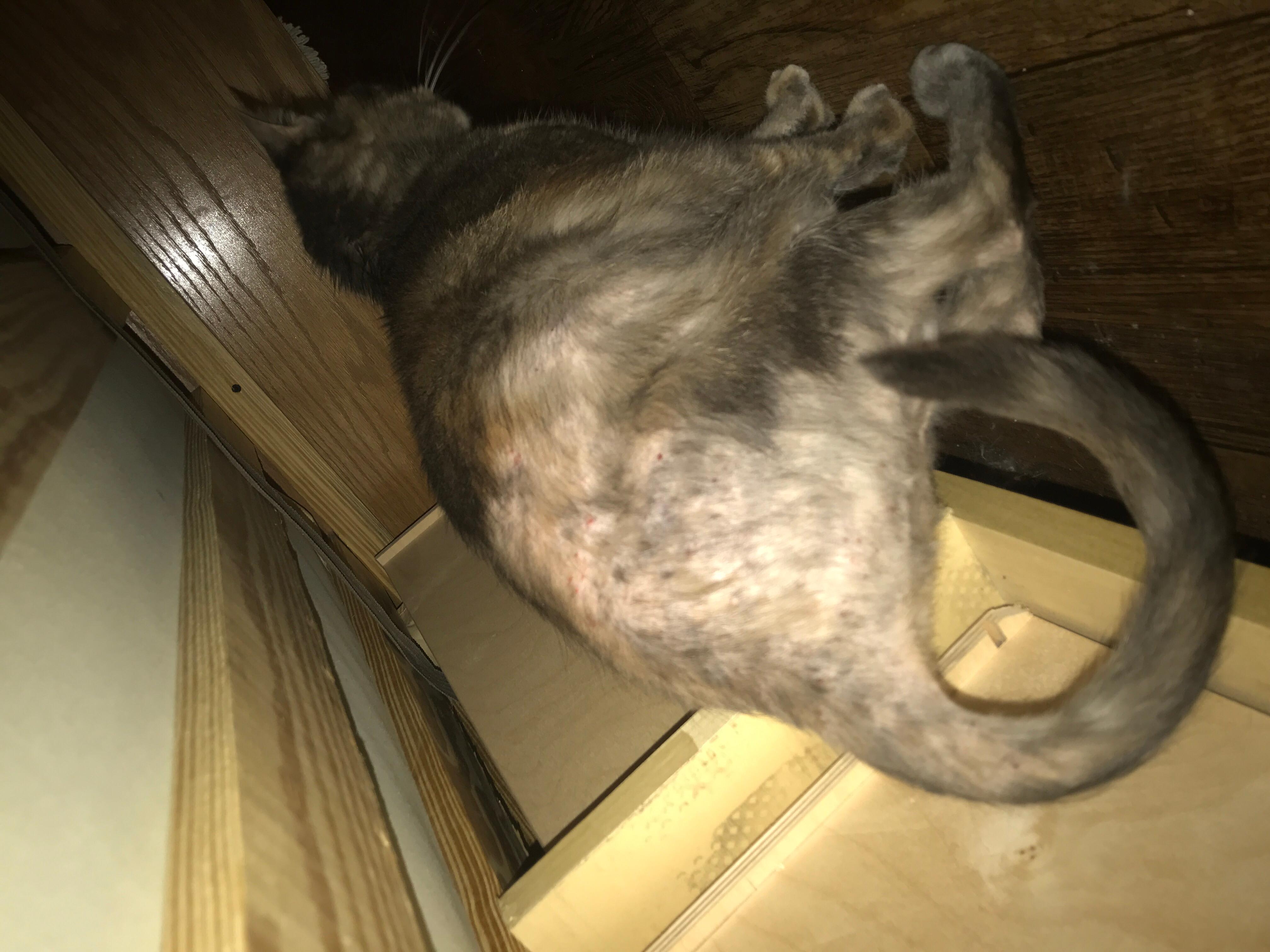 Question details sensitive content