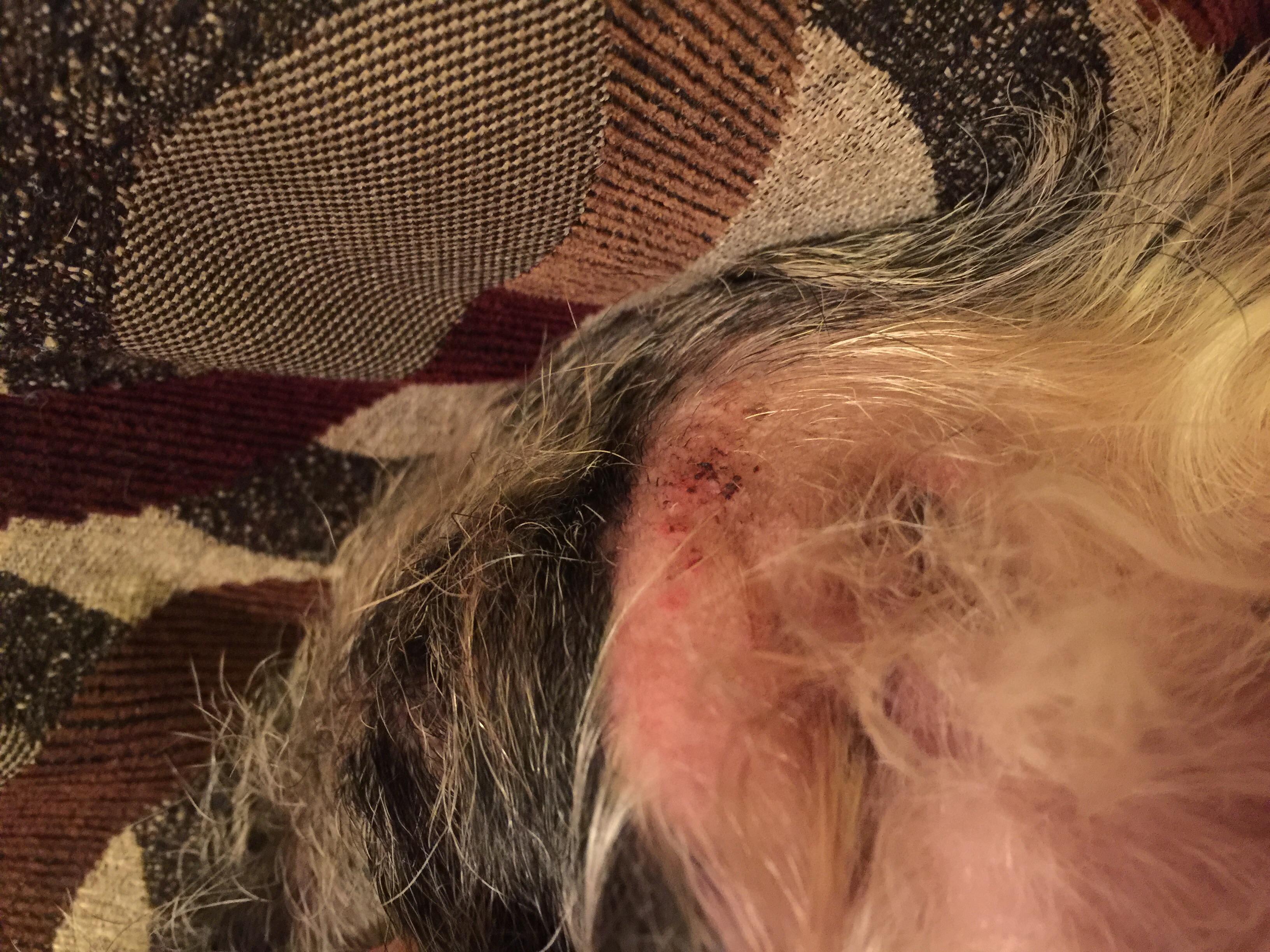 Question details sensitive content