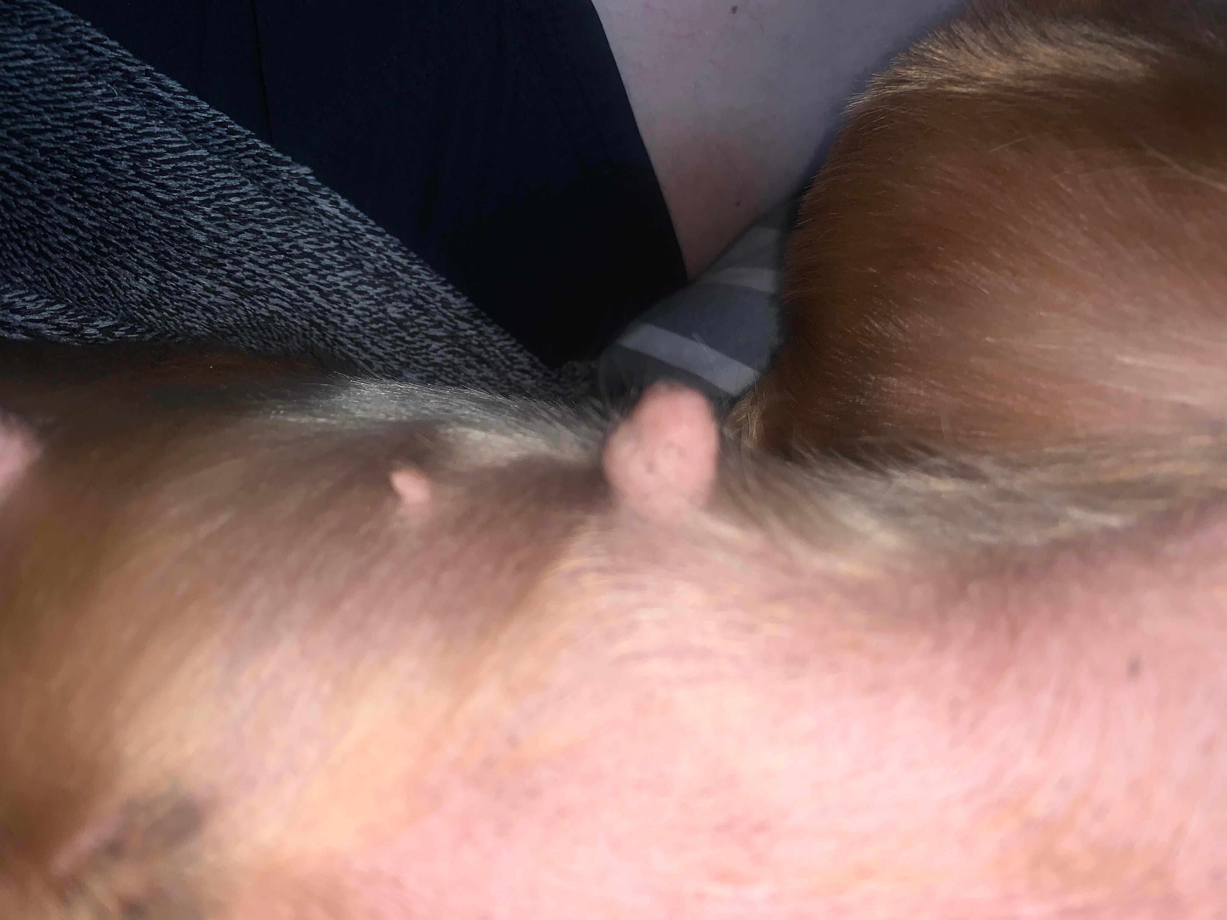 Question details sensitive content