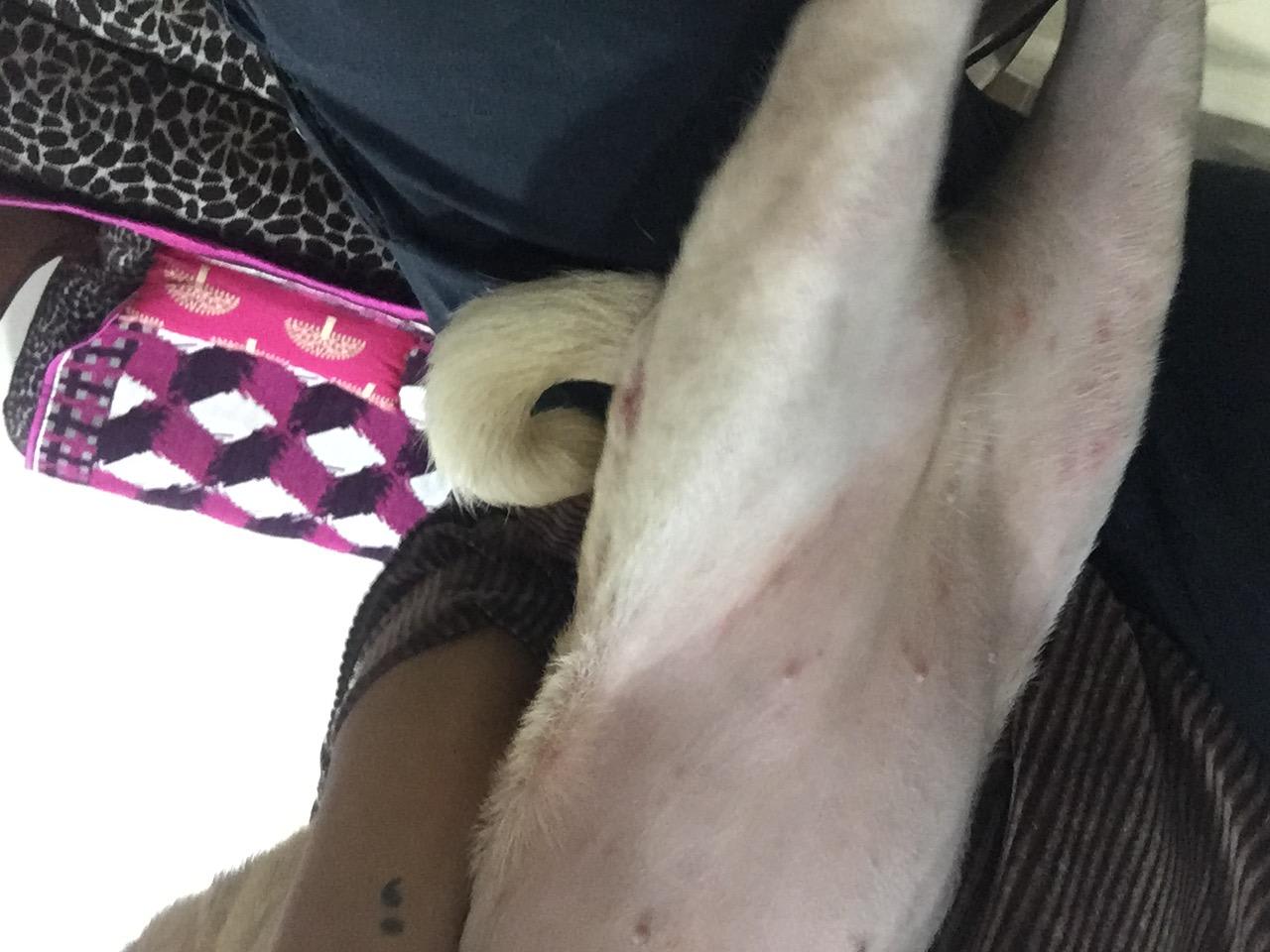 Question details sensitive content