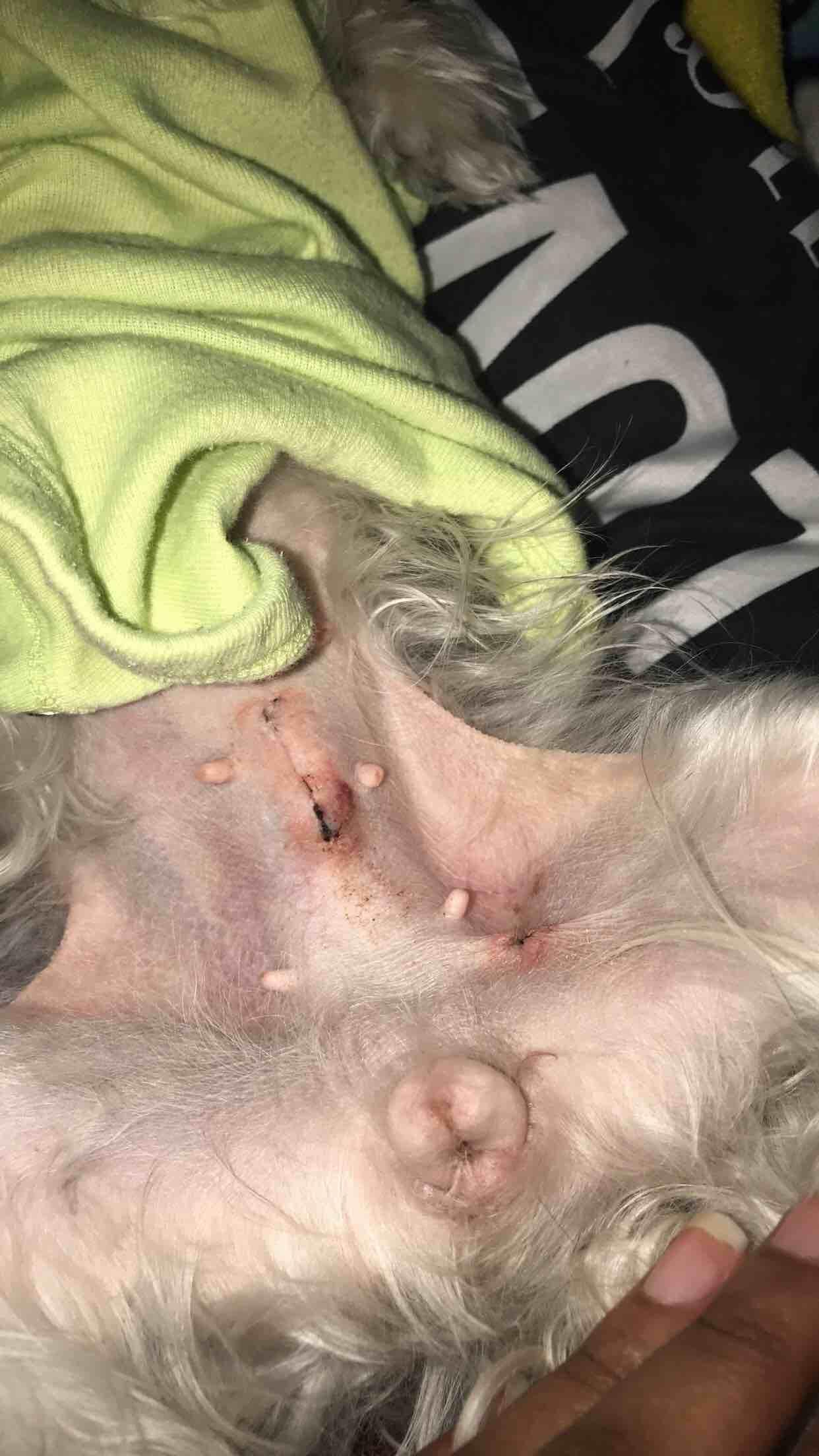 Question details sensitive content