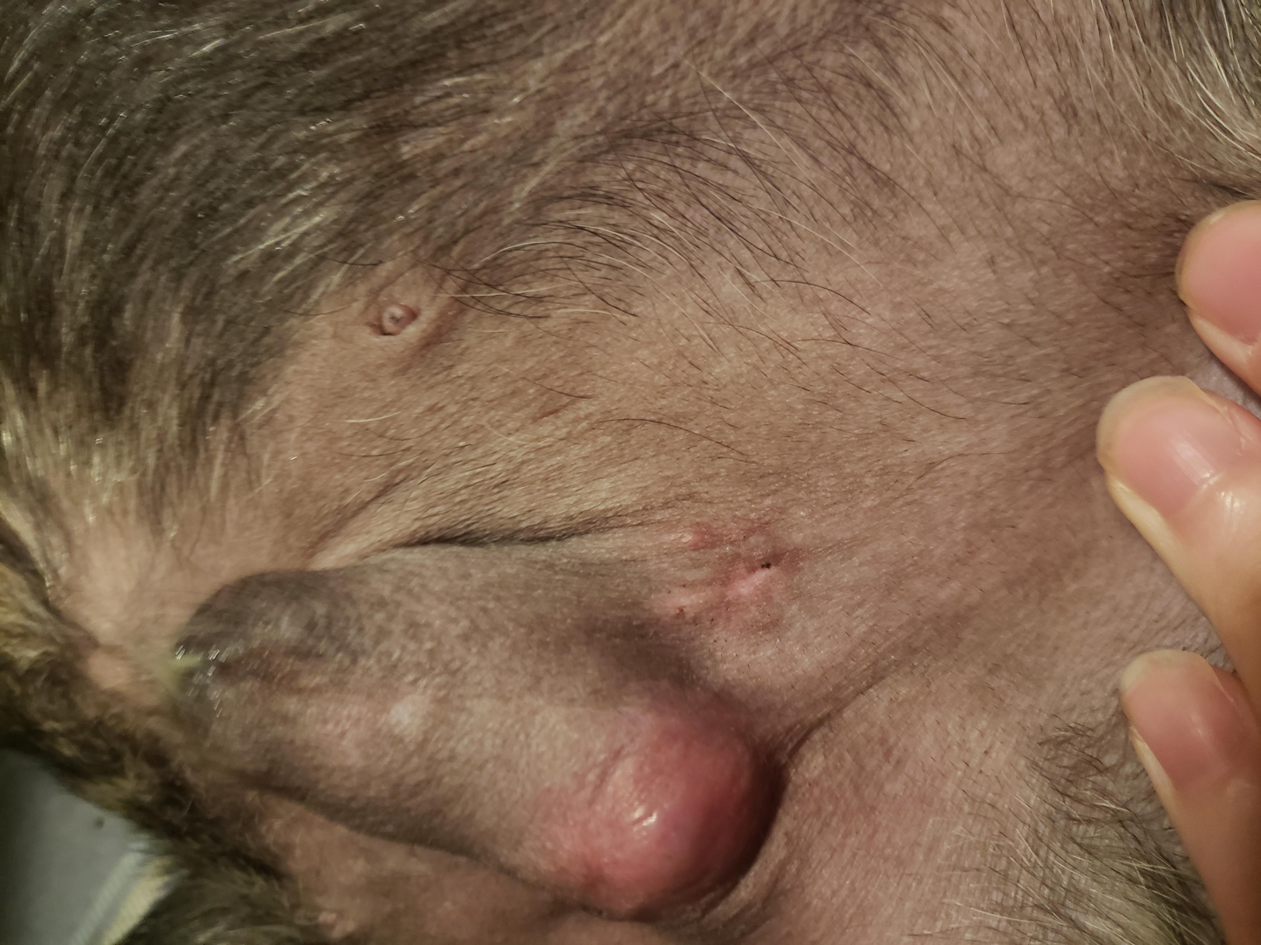 Question details sensitive content