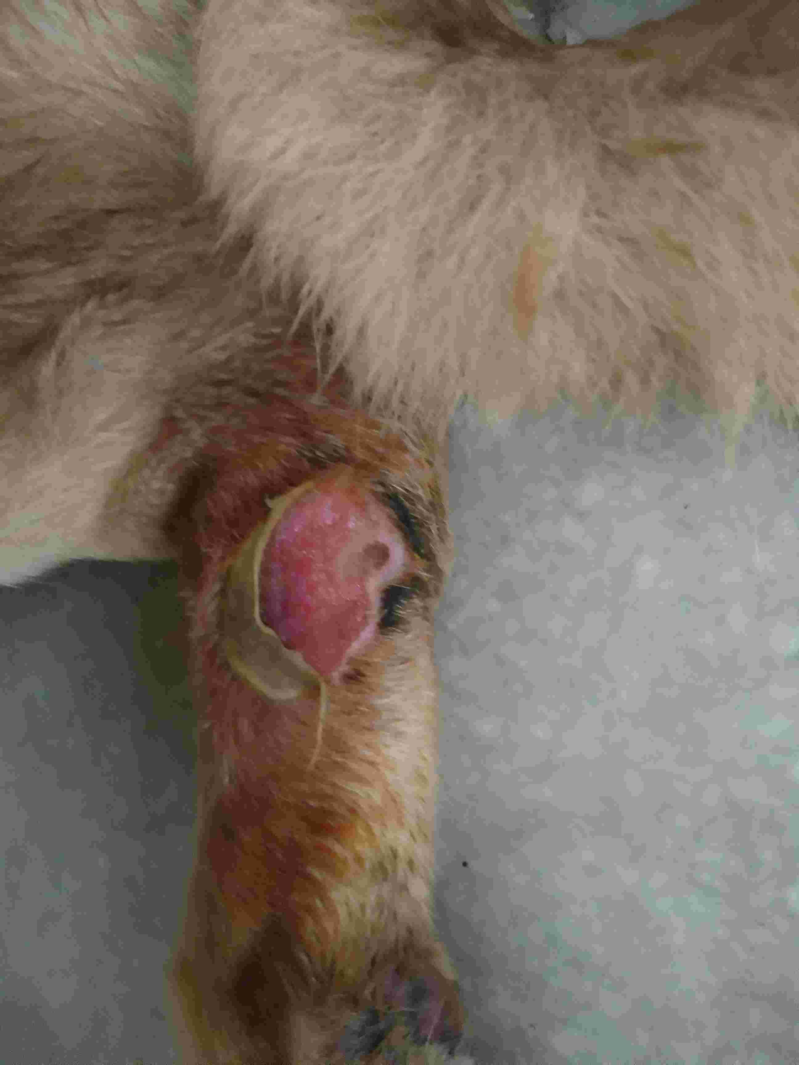 Question details sensitive content