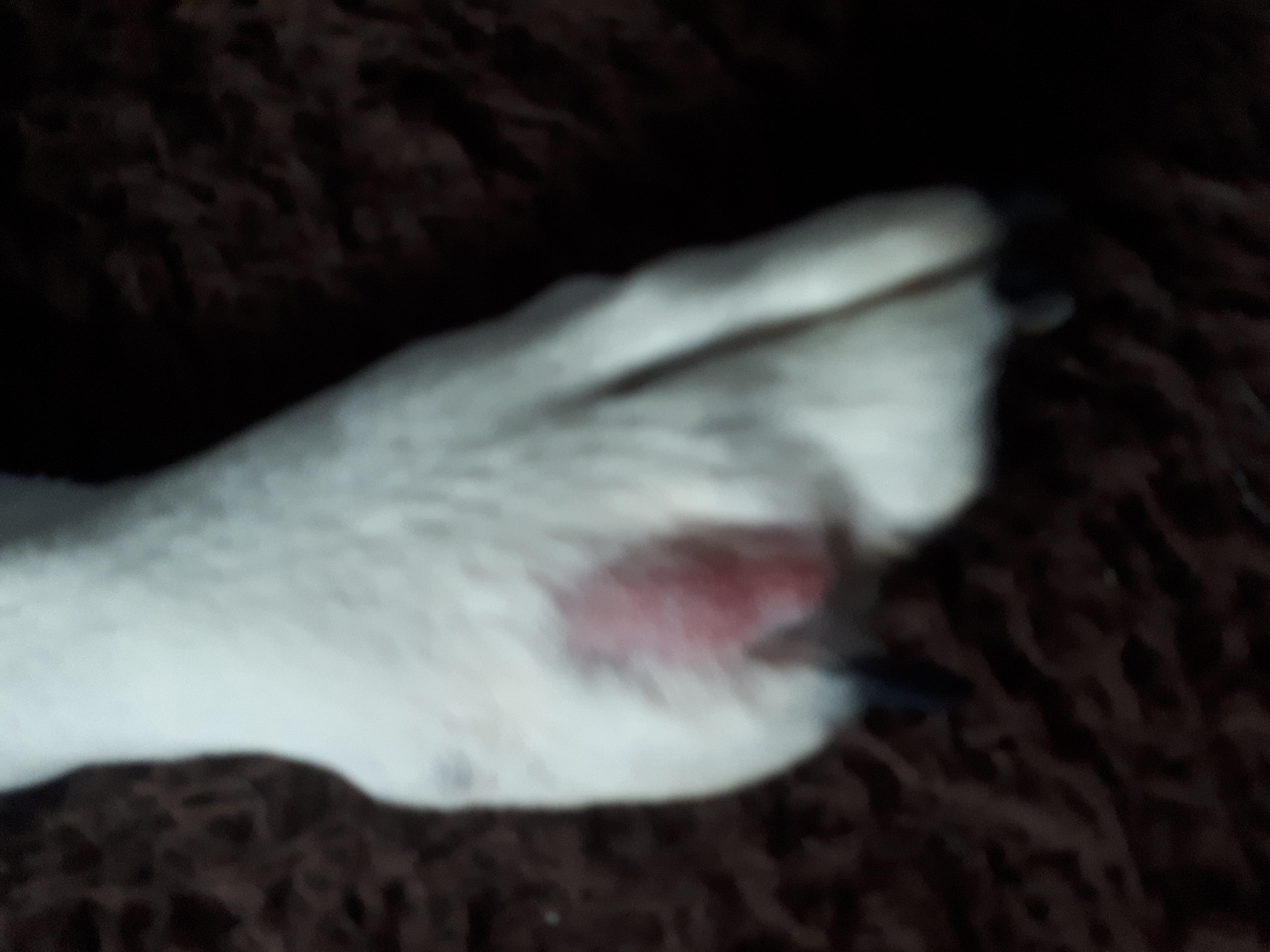 Question details sensitive content