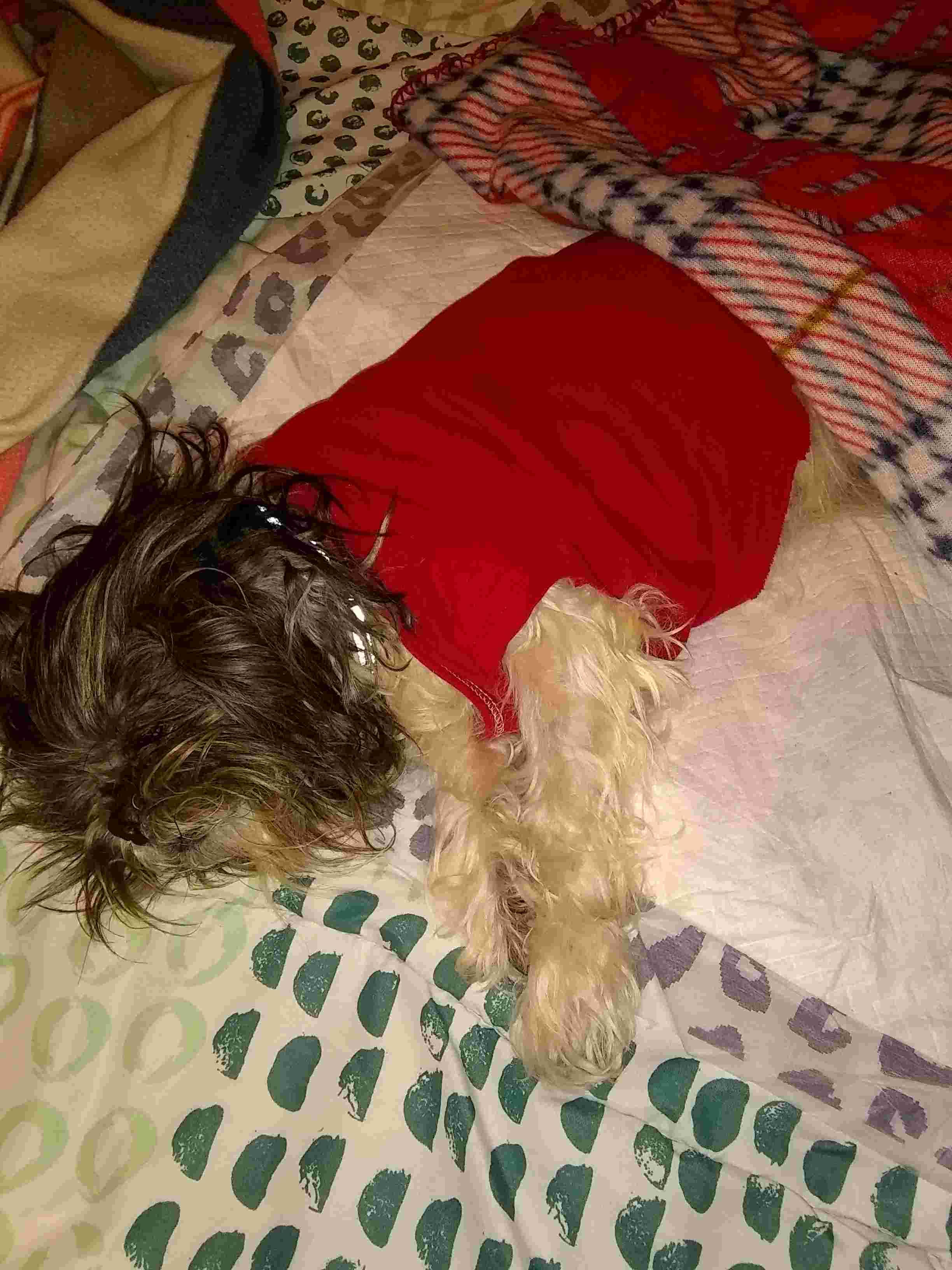 Question details sensitive content