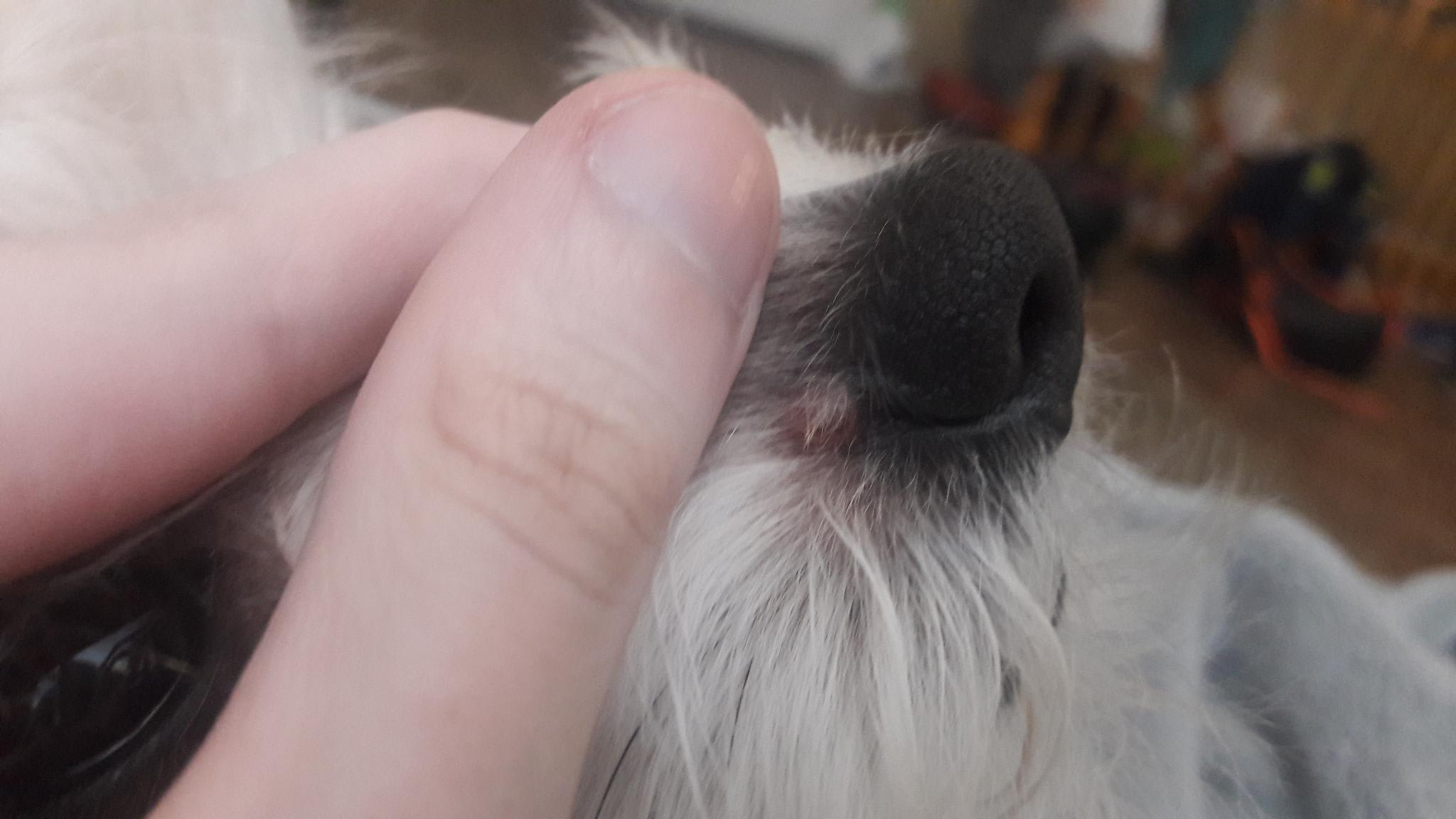 Question details sensitive content