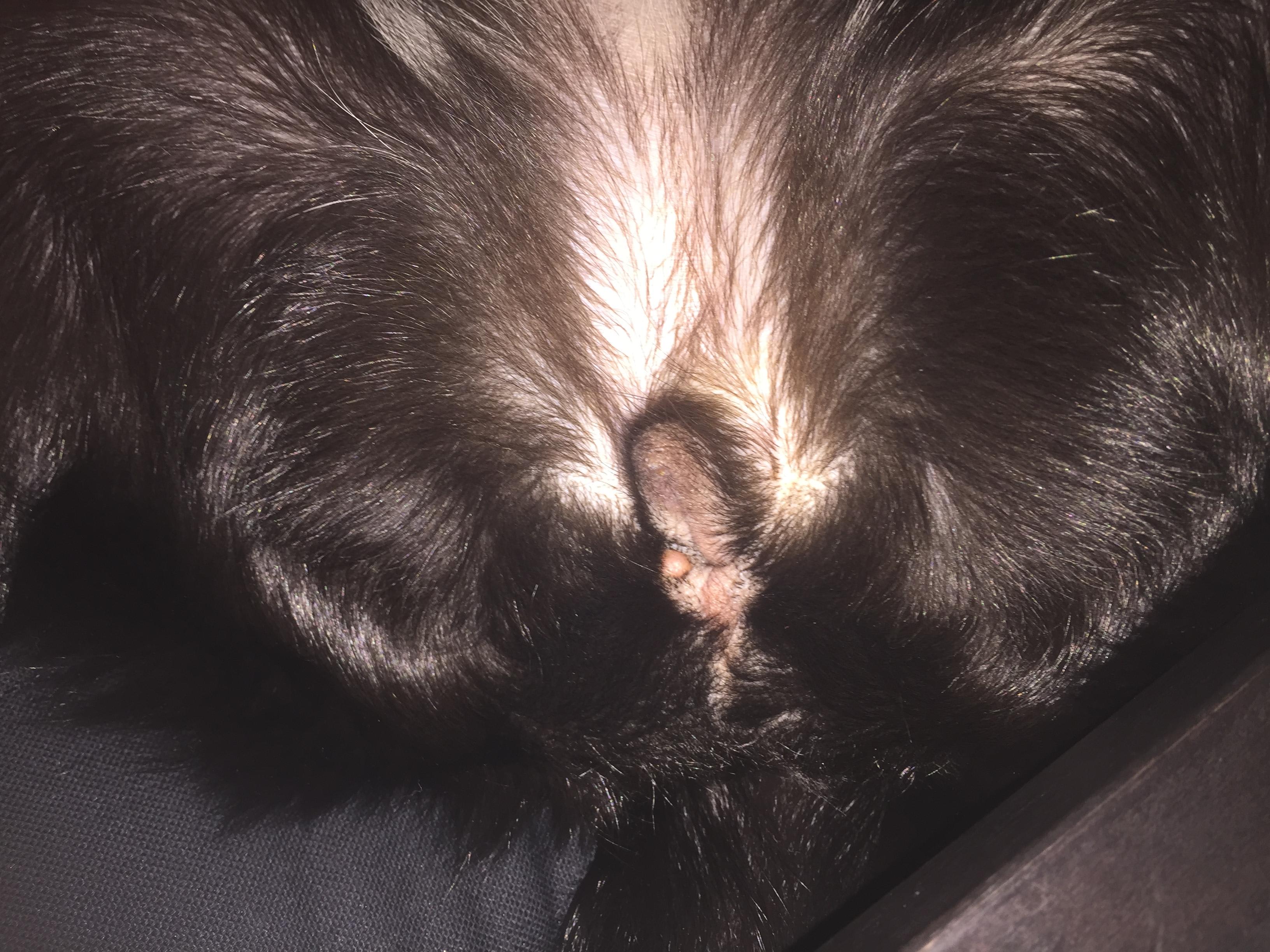 Question details sensitive content