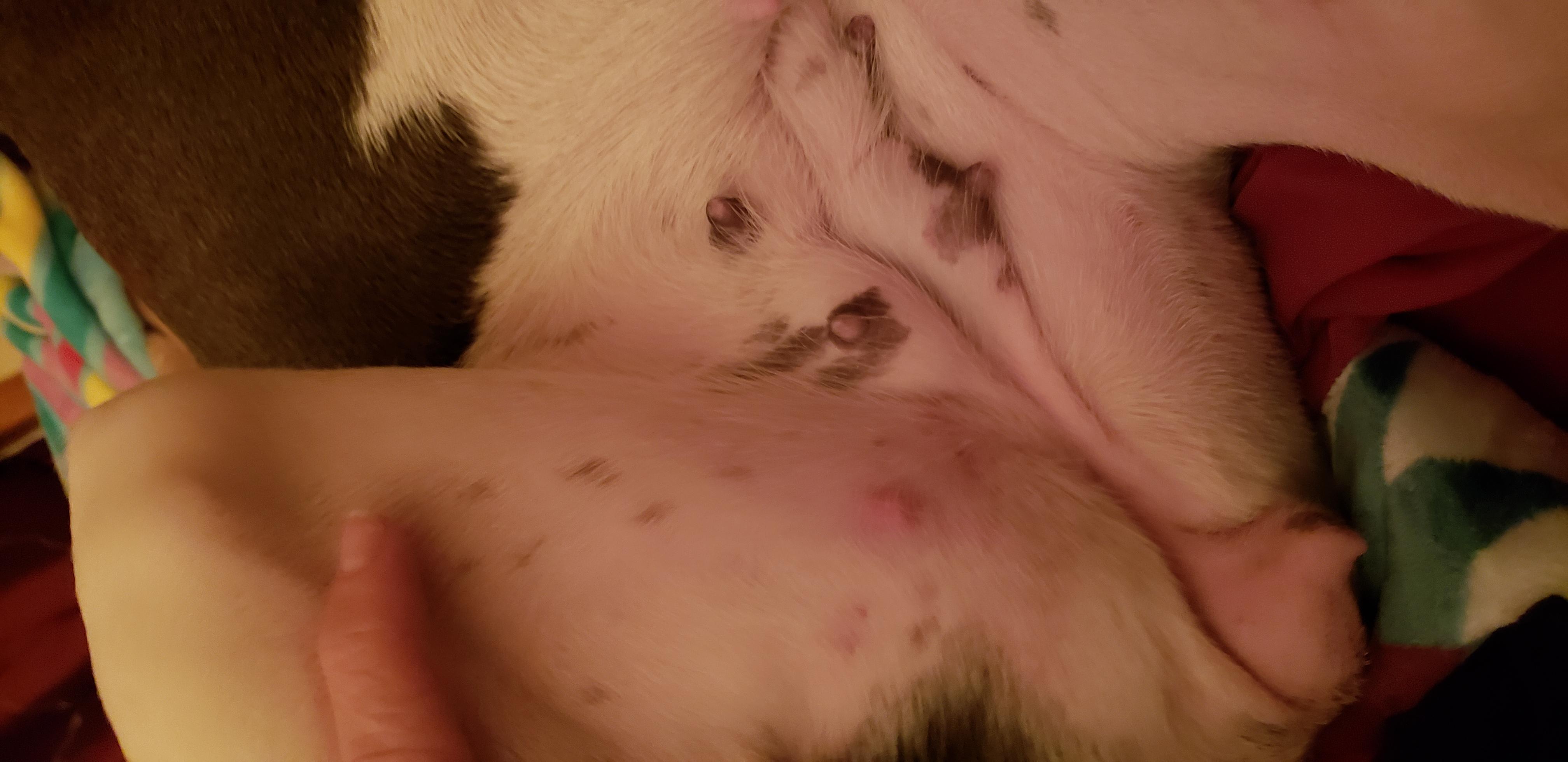 Question details sensitive content