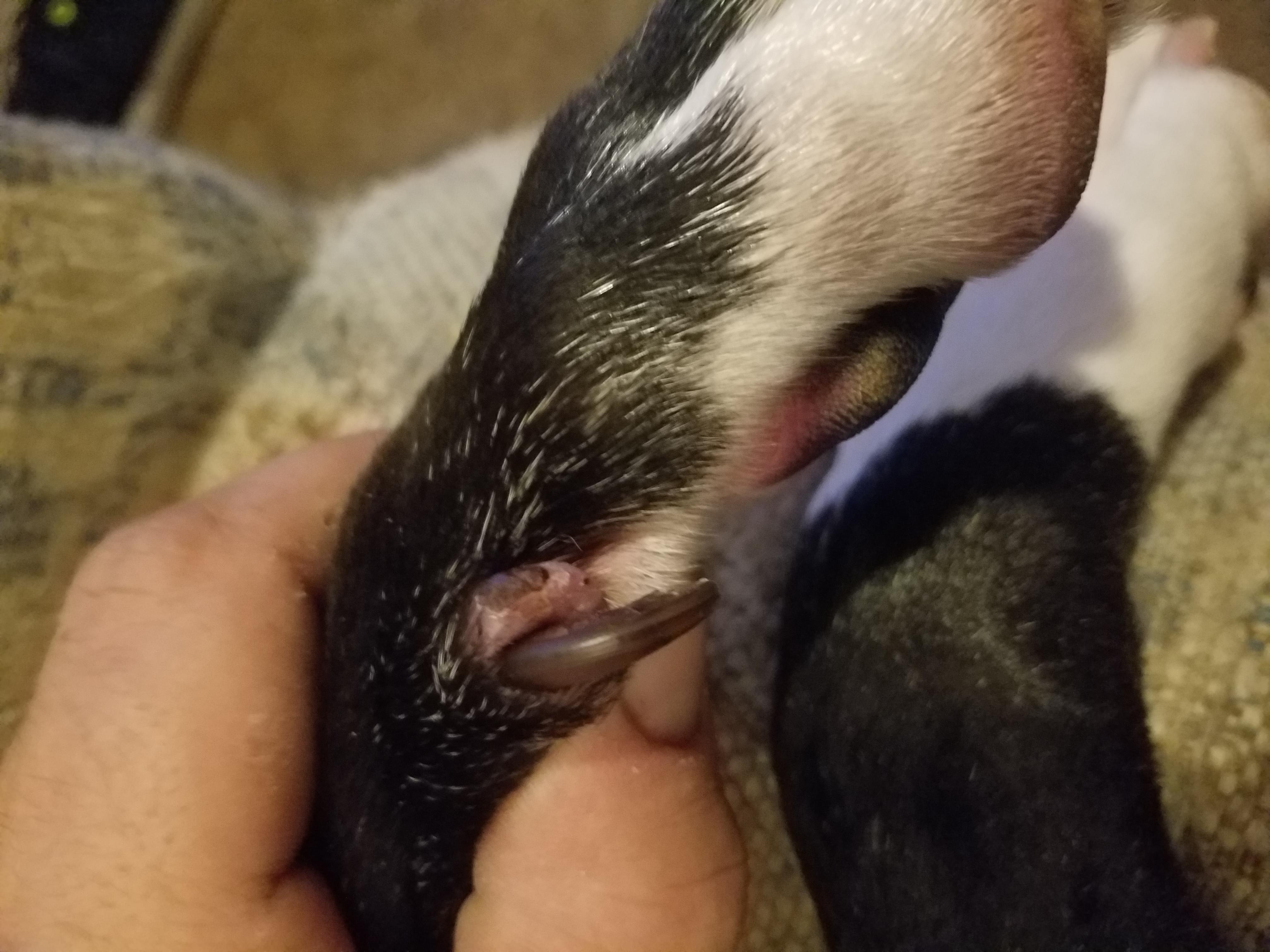 Question details sensitive content