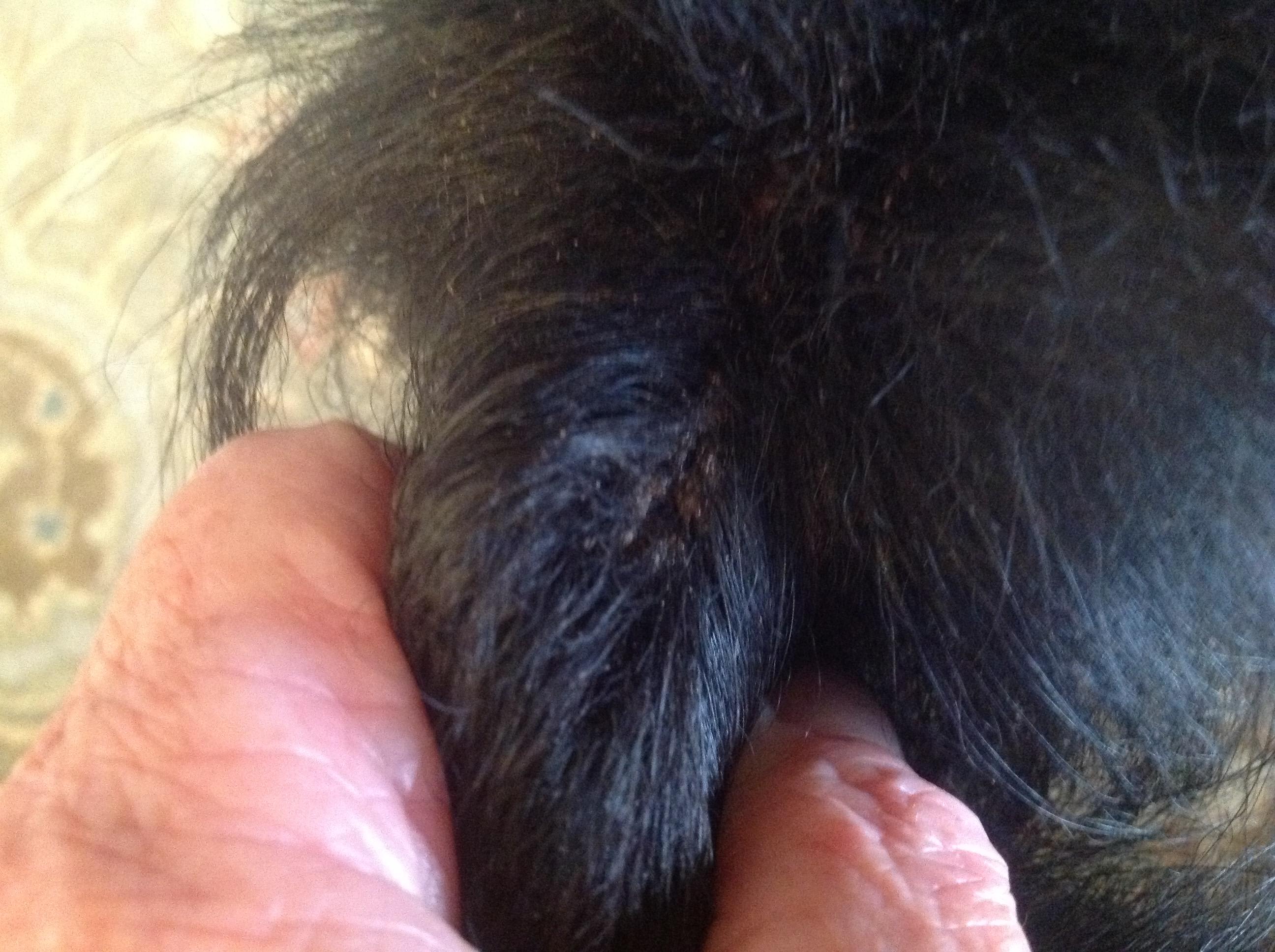 Question details sensitive content