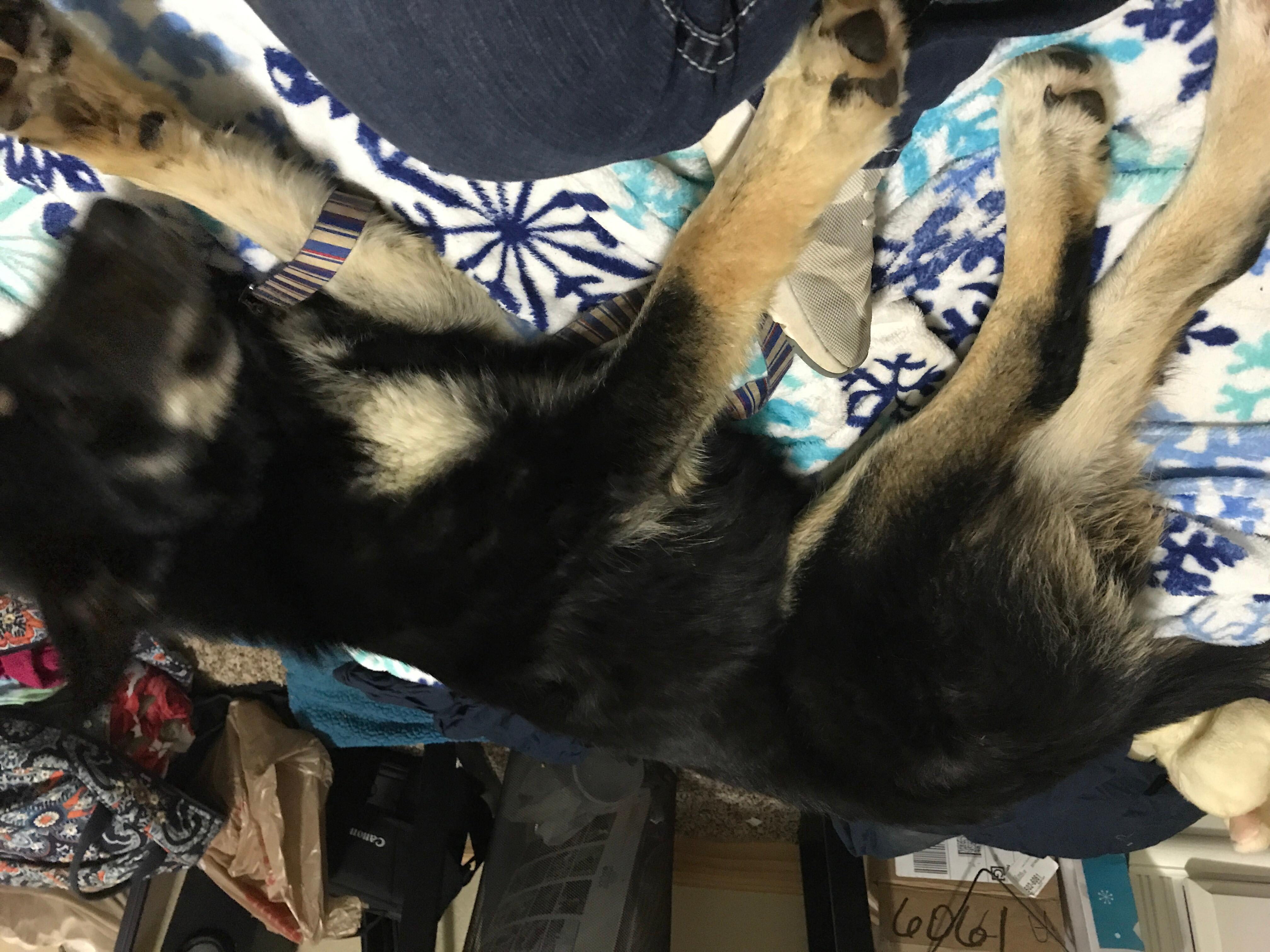 Question details sensitive content