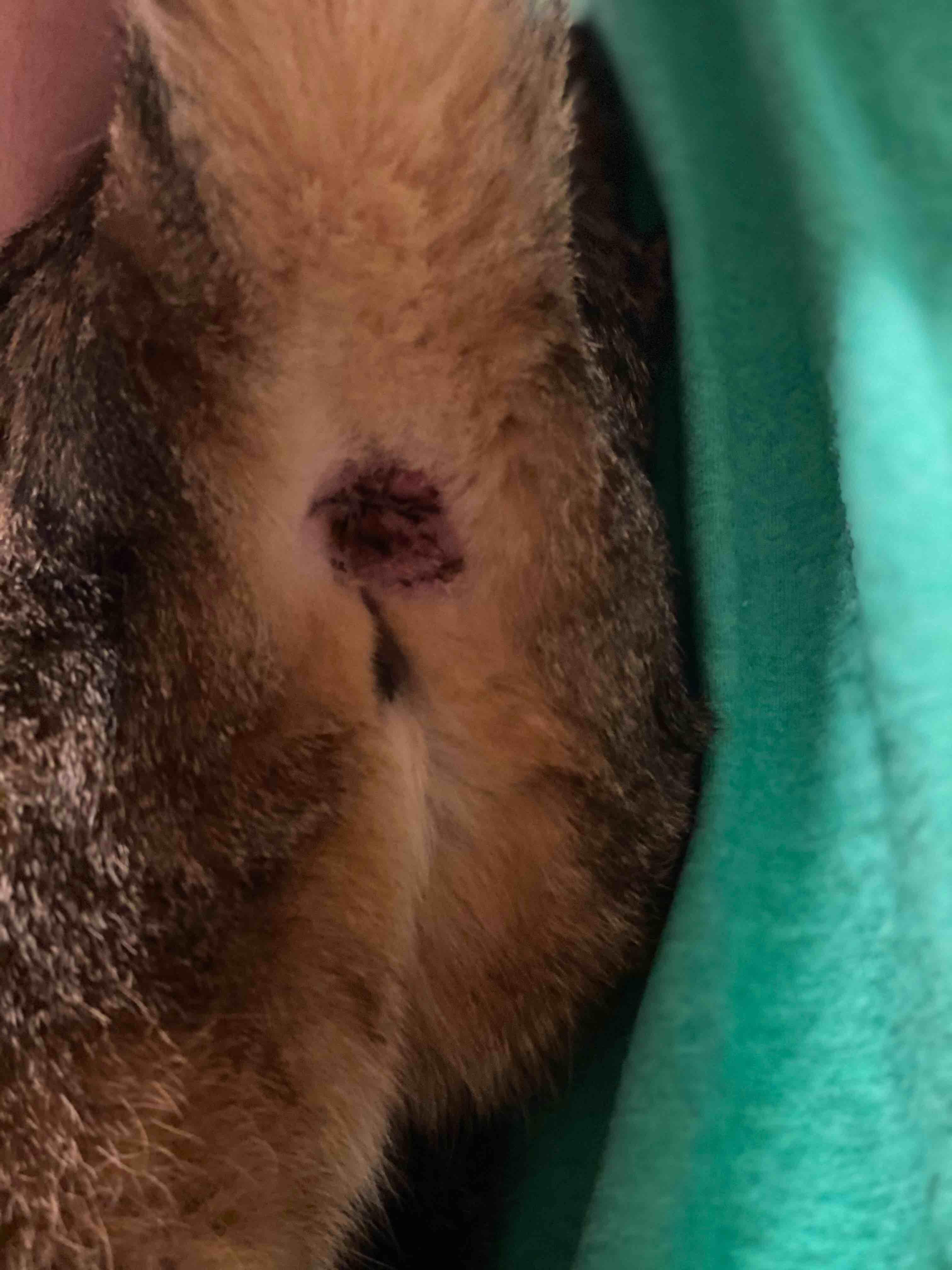 Question details sensitive content