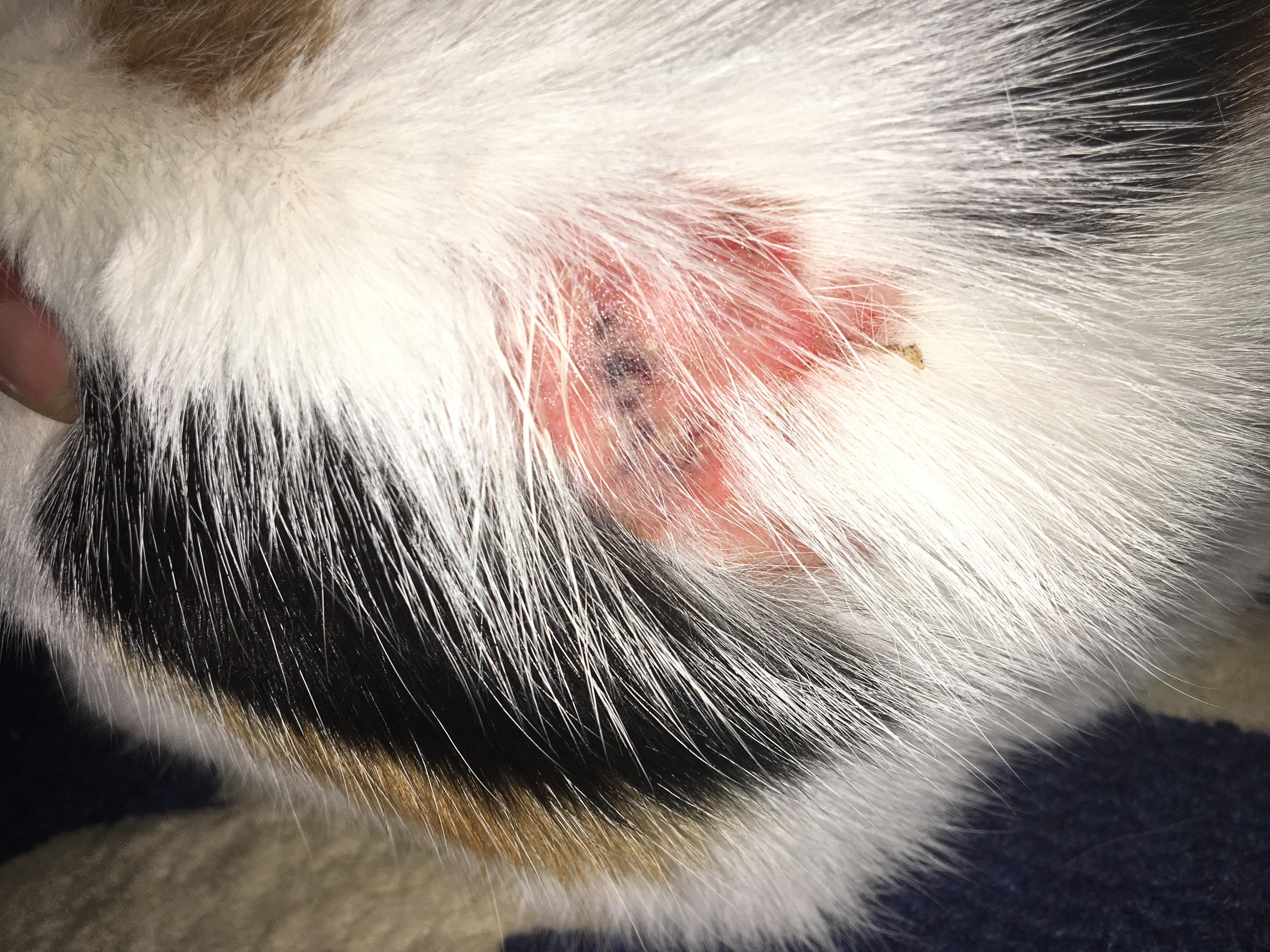 Question details sensitive content