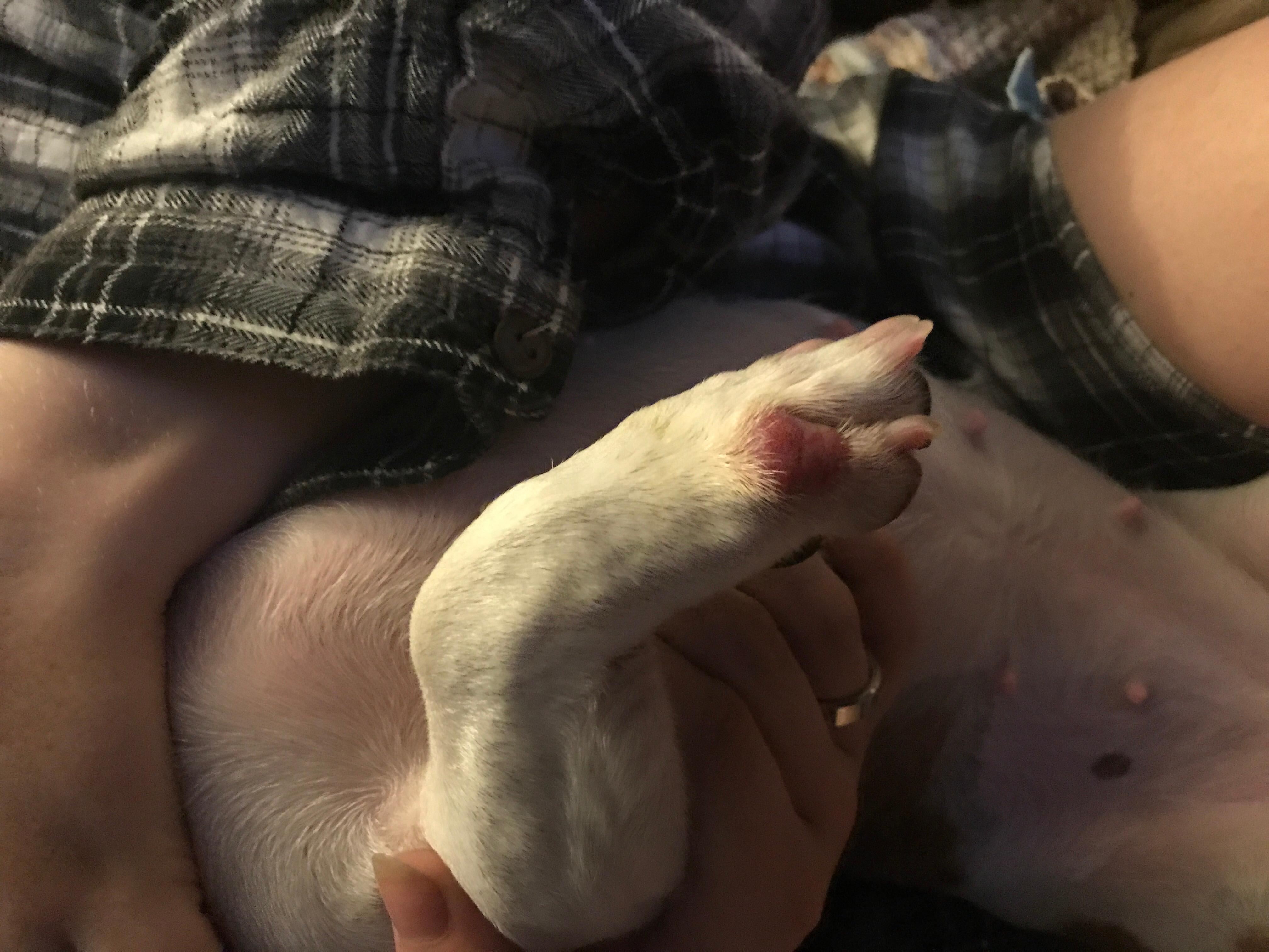 Question details sensitive content