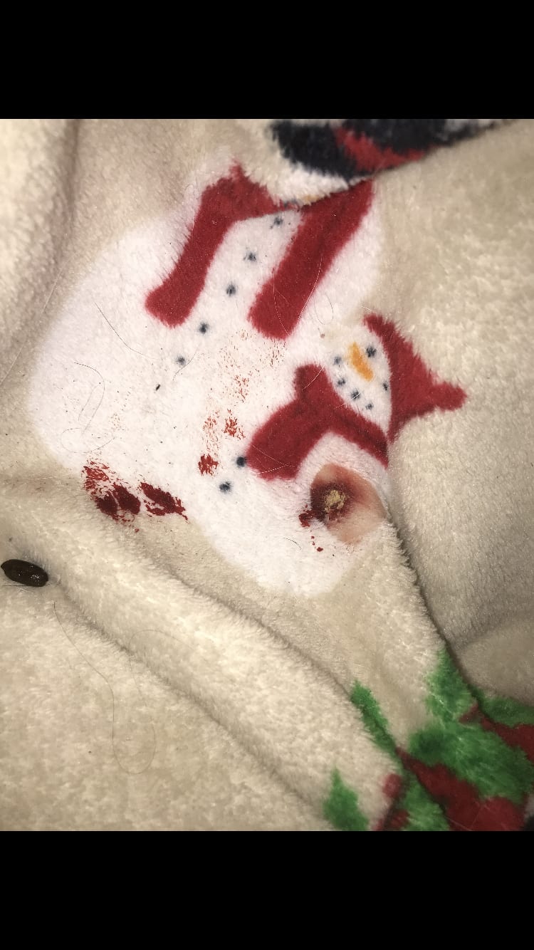 Question details sensitive content