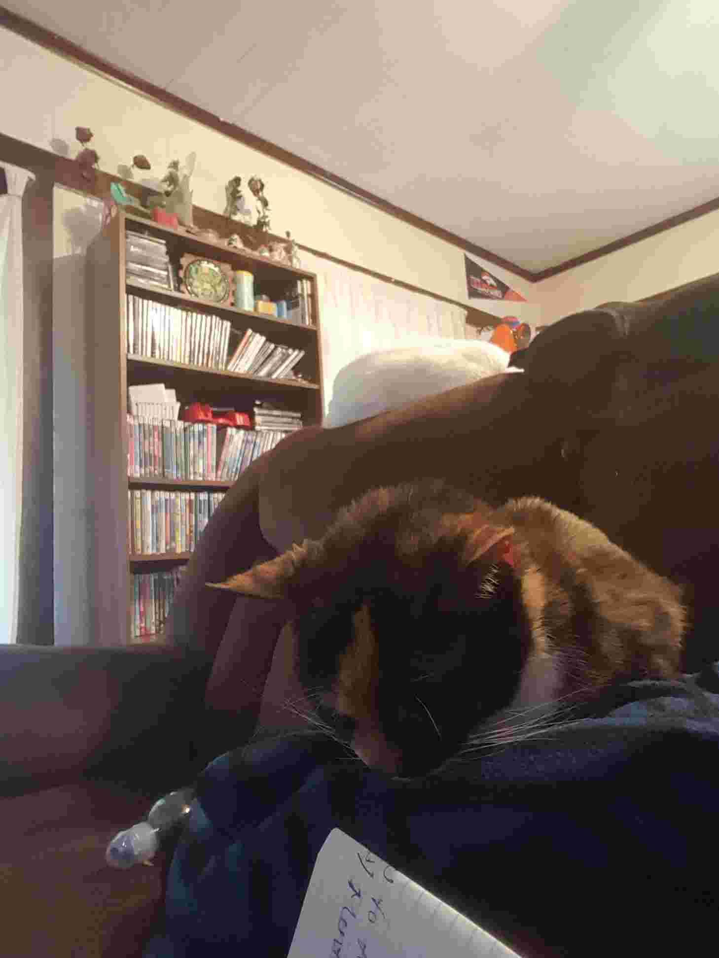 Question details sensitive content