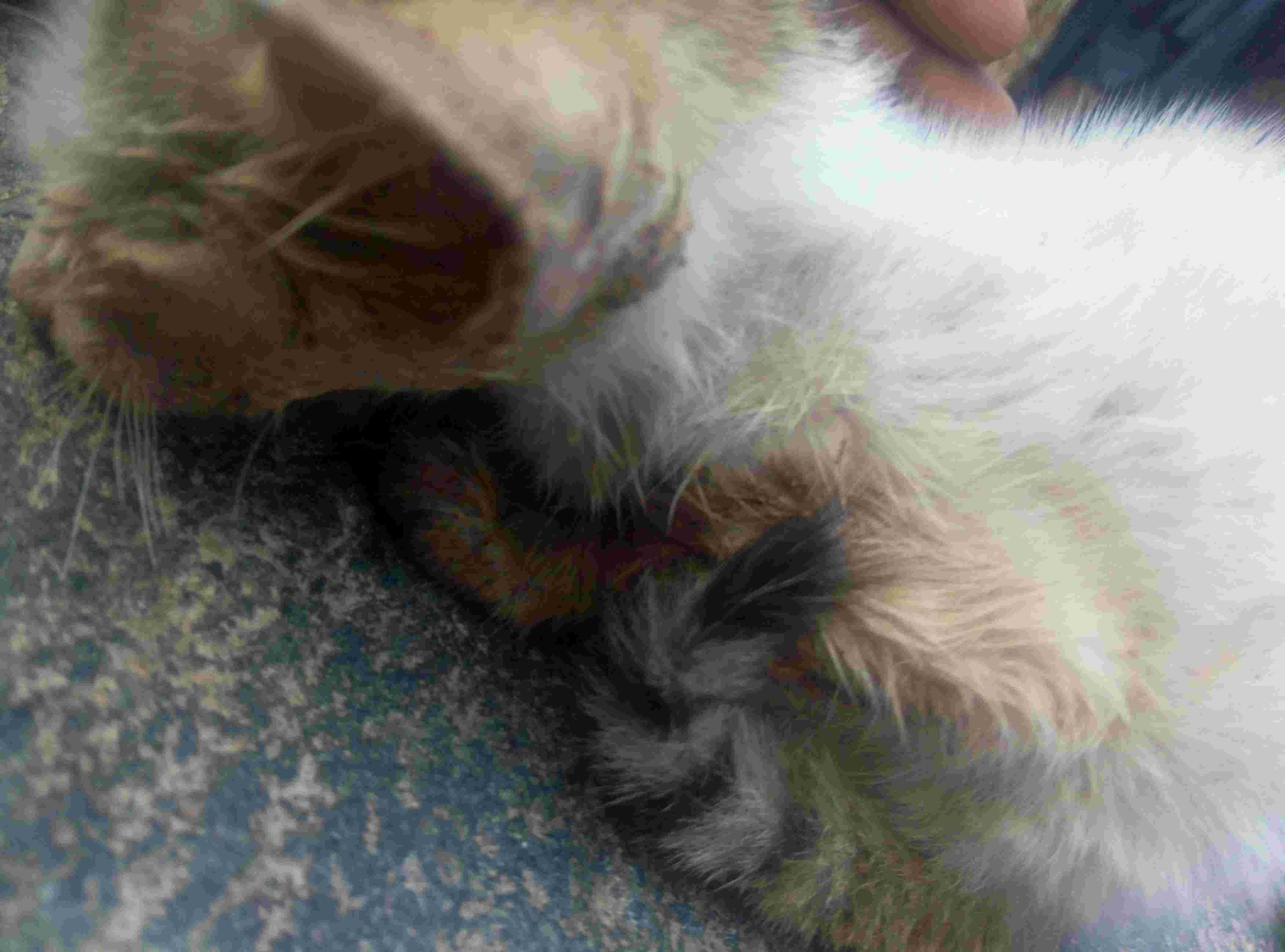 Question details sensitive content