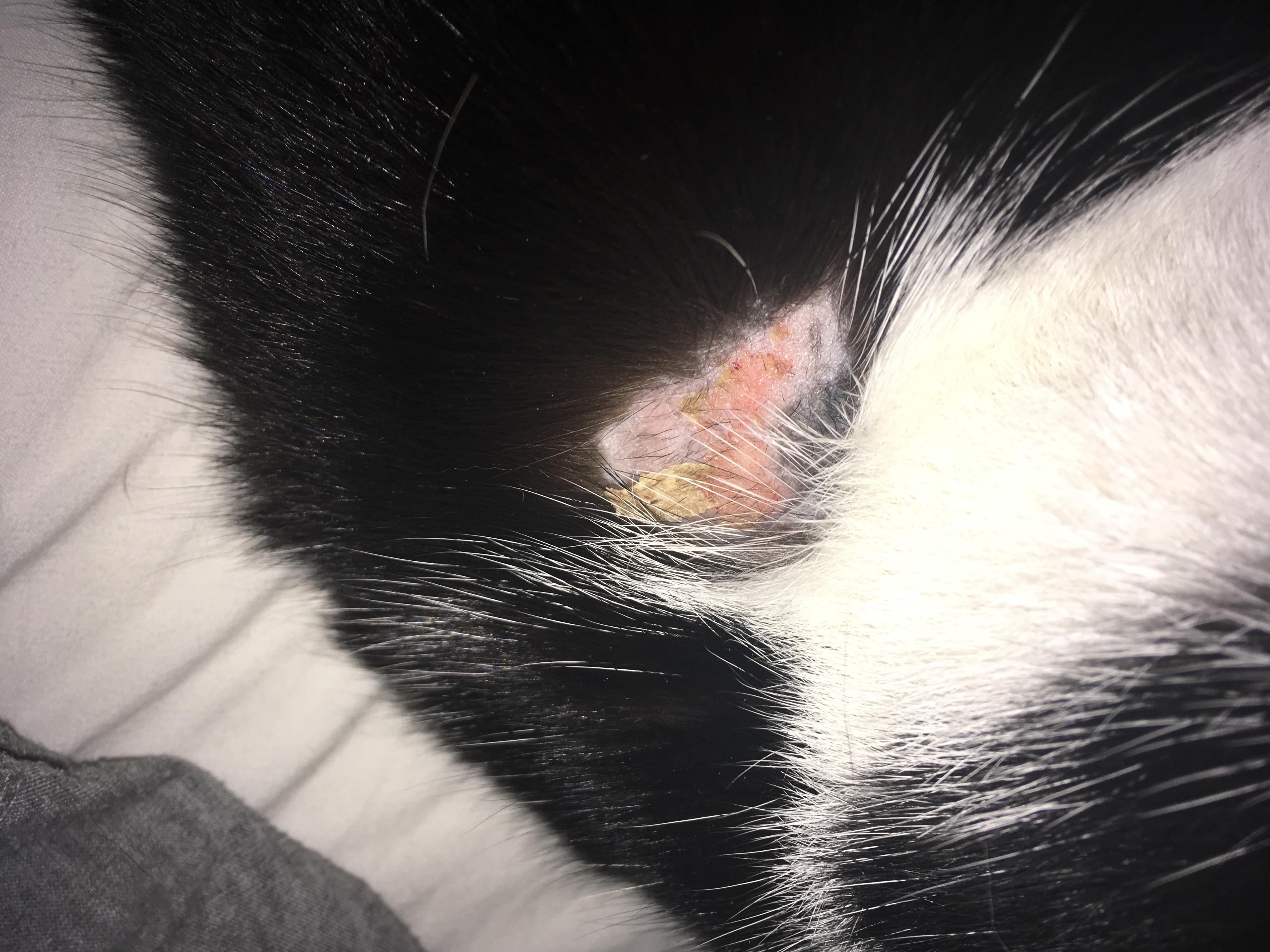 Question details sensitive content