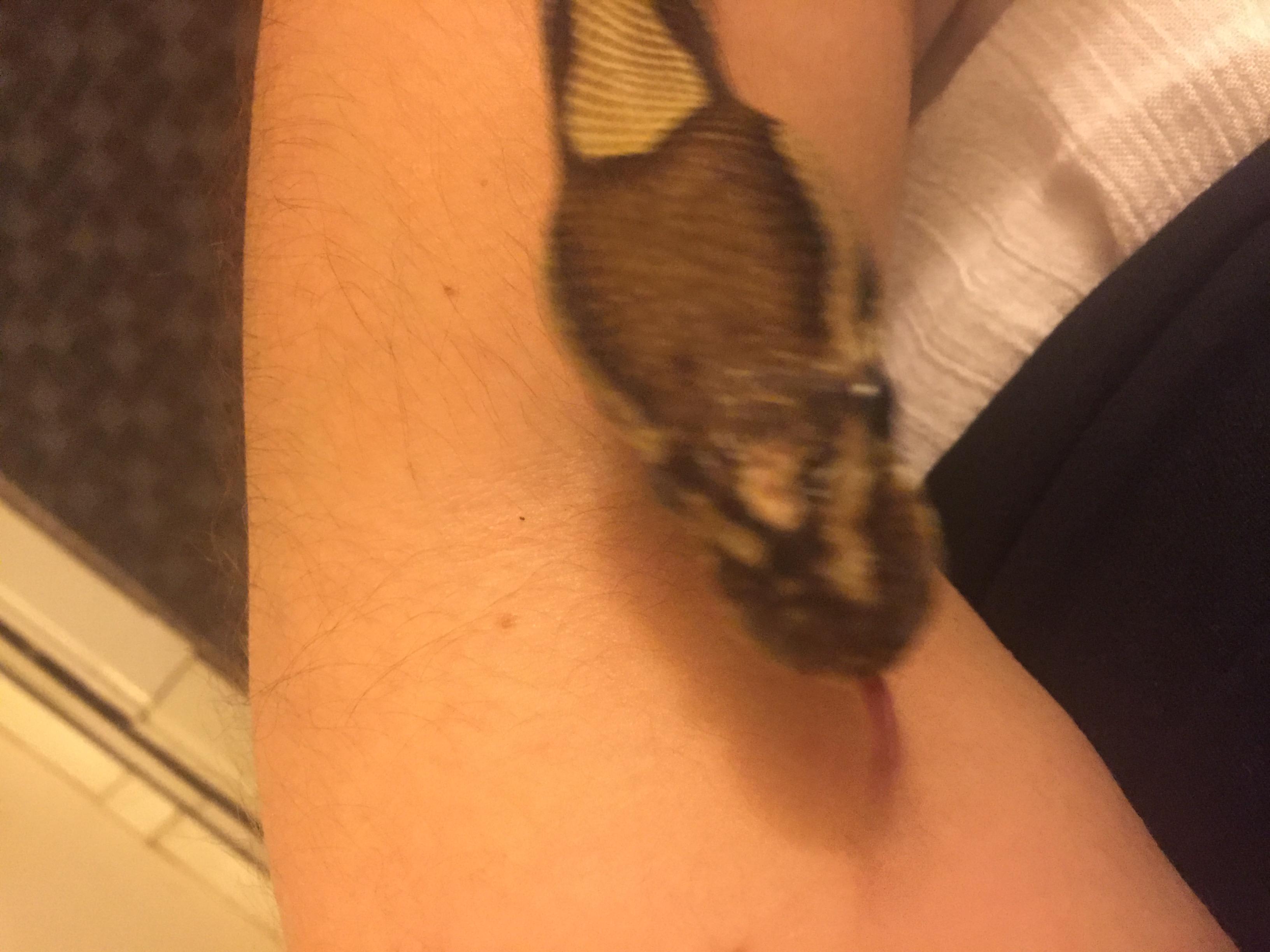 Question details sensitive content