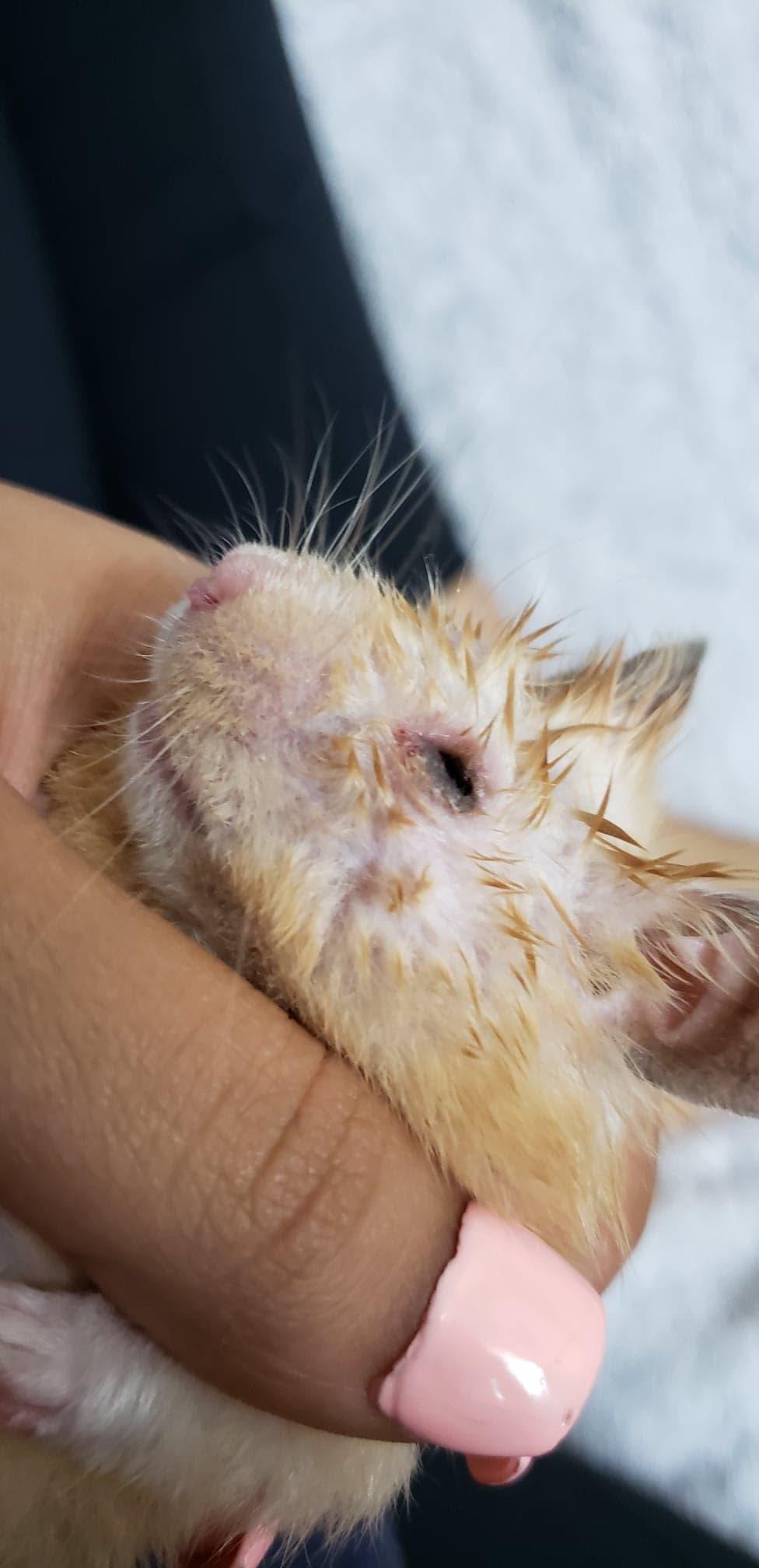 Question details sensitive content