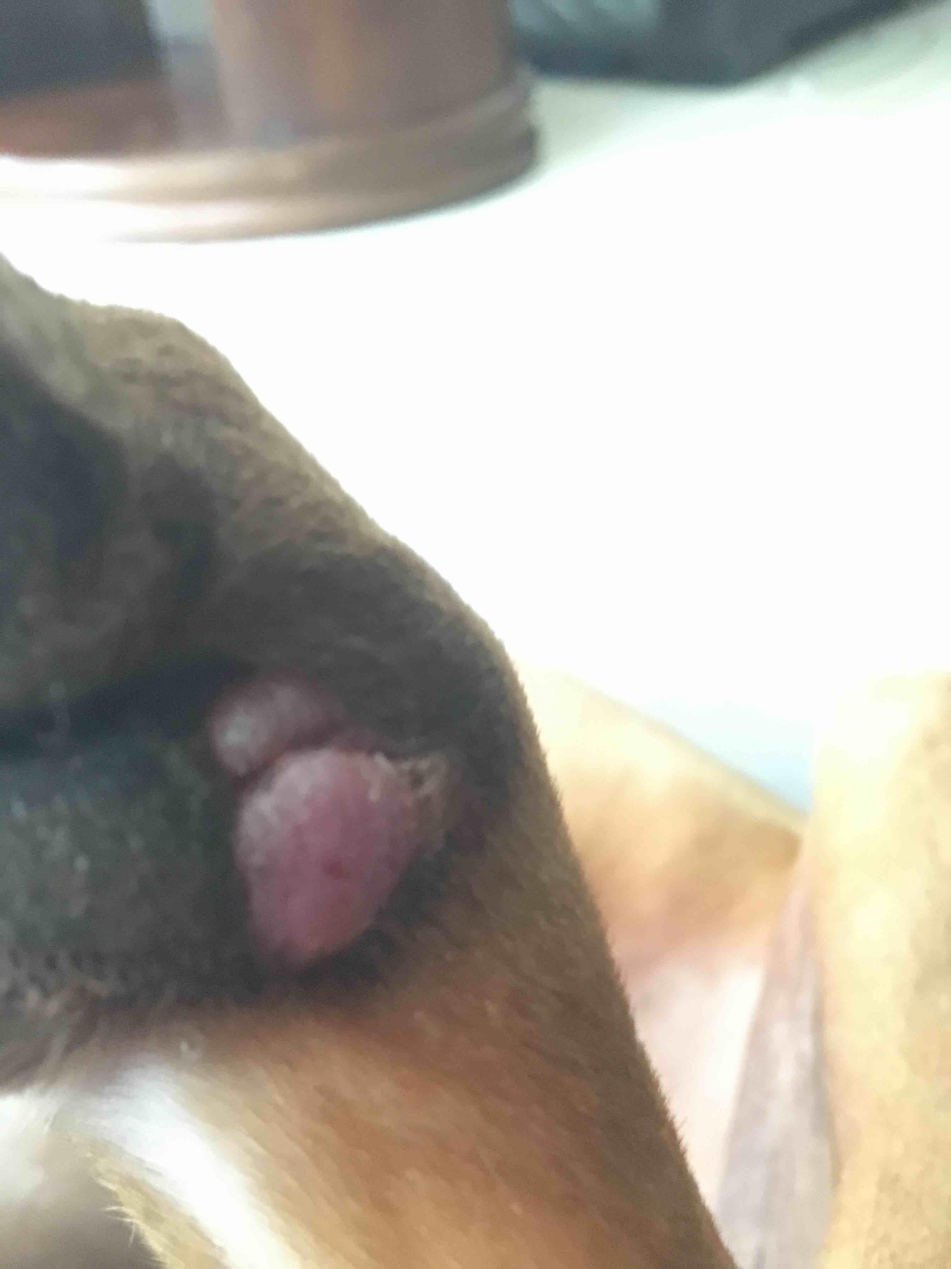 Question details sensitive content