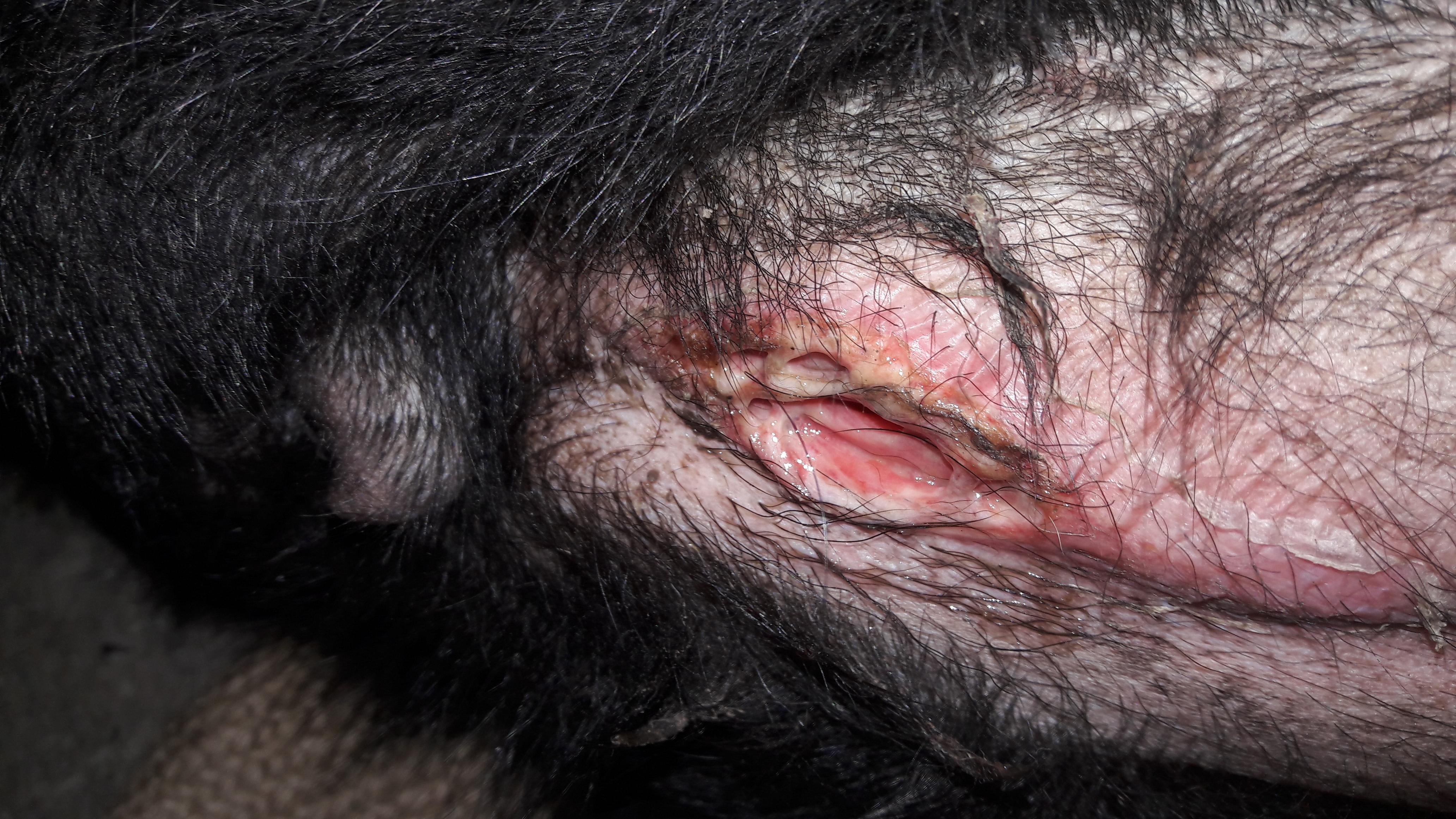 Question details sensitive content