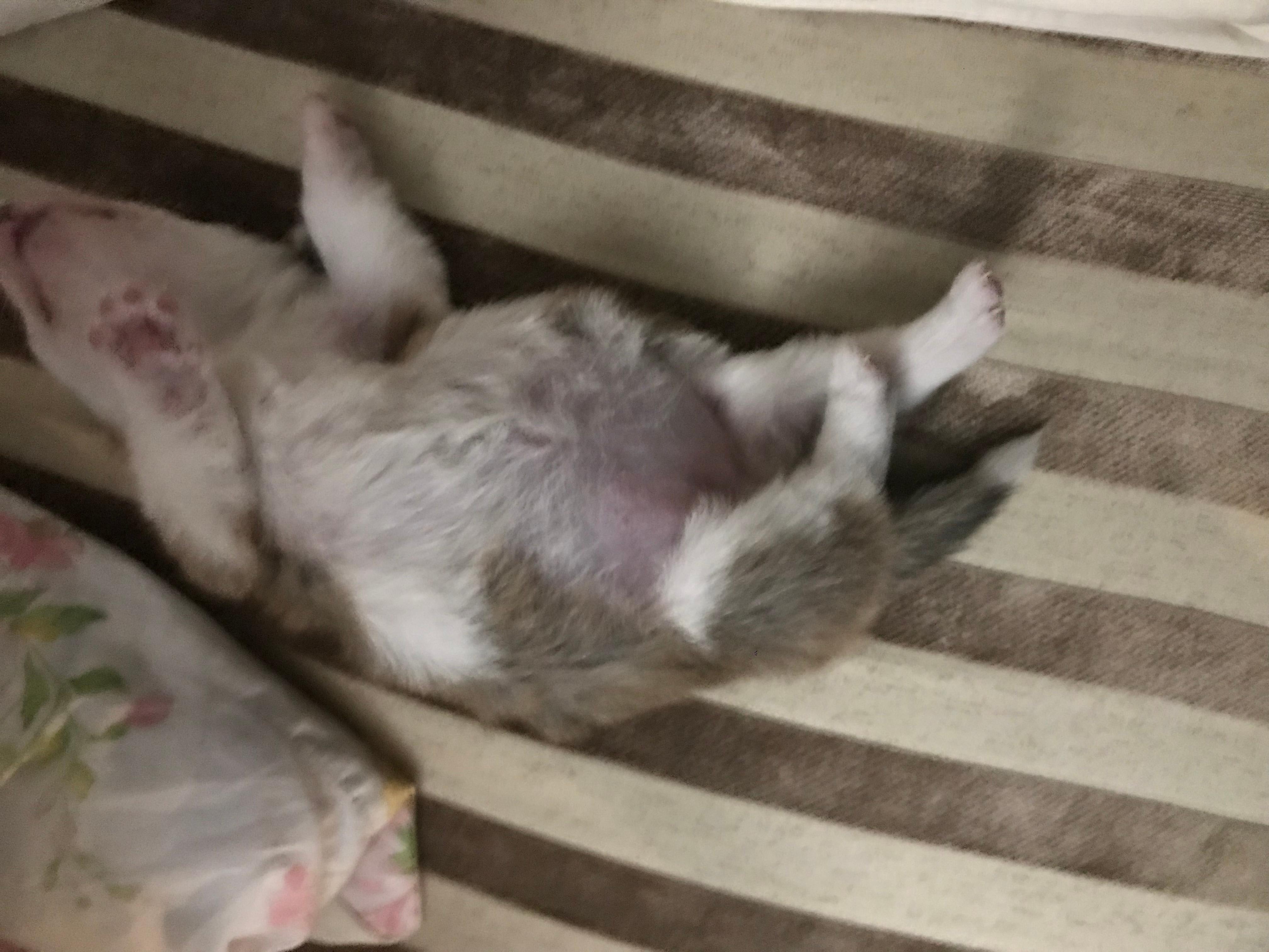 Question details sensitive content