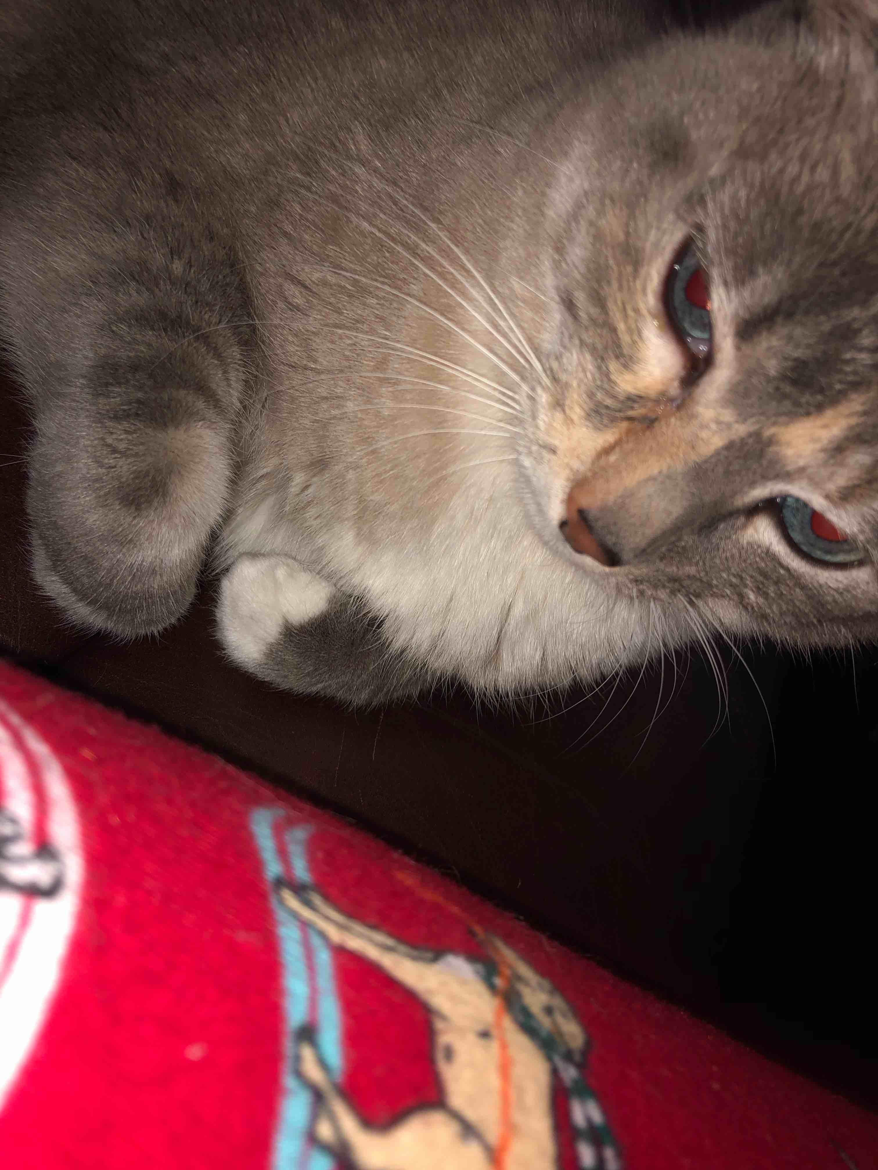 Question details sensitive content