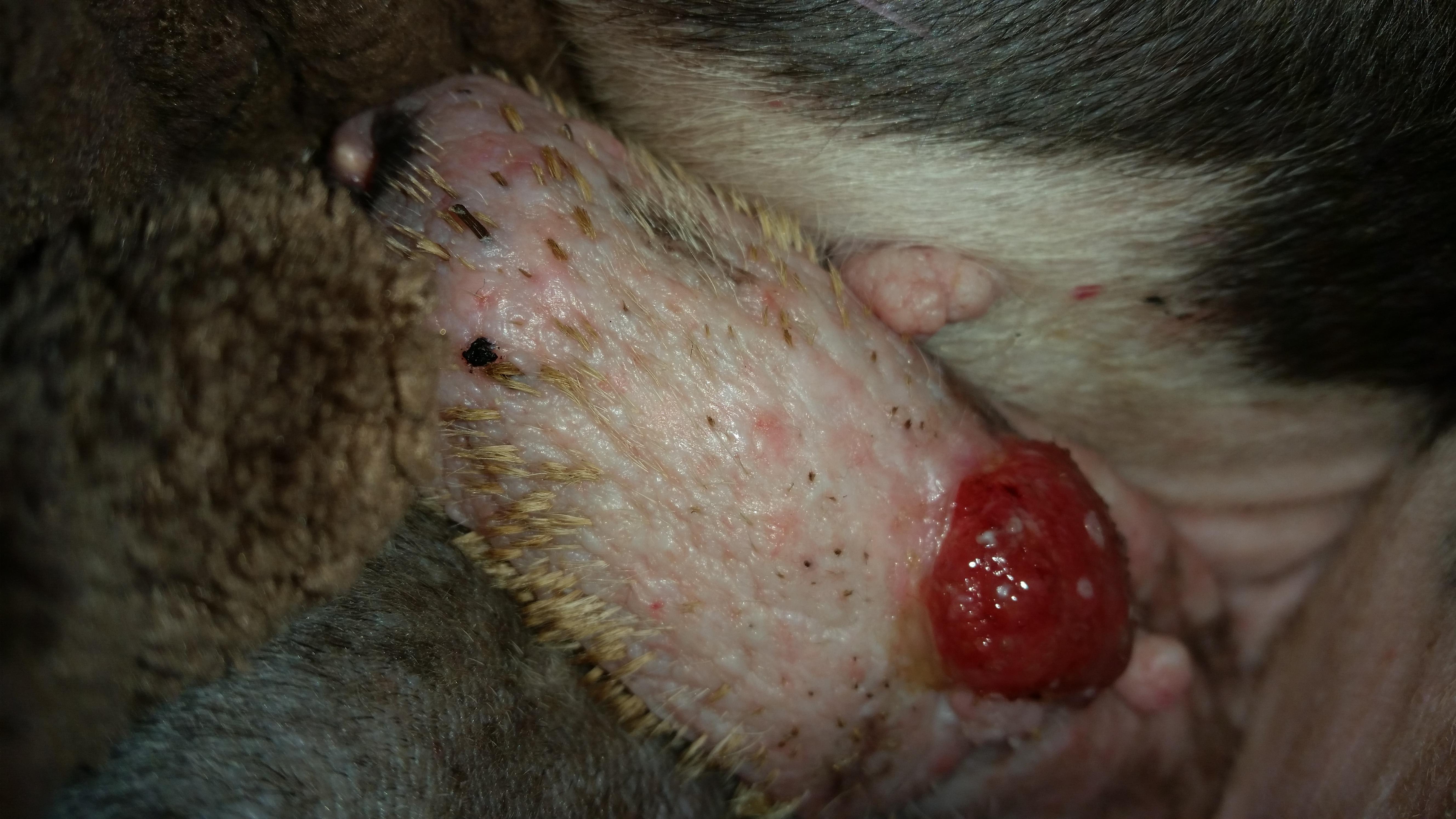 Question details sensitive content