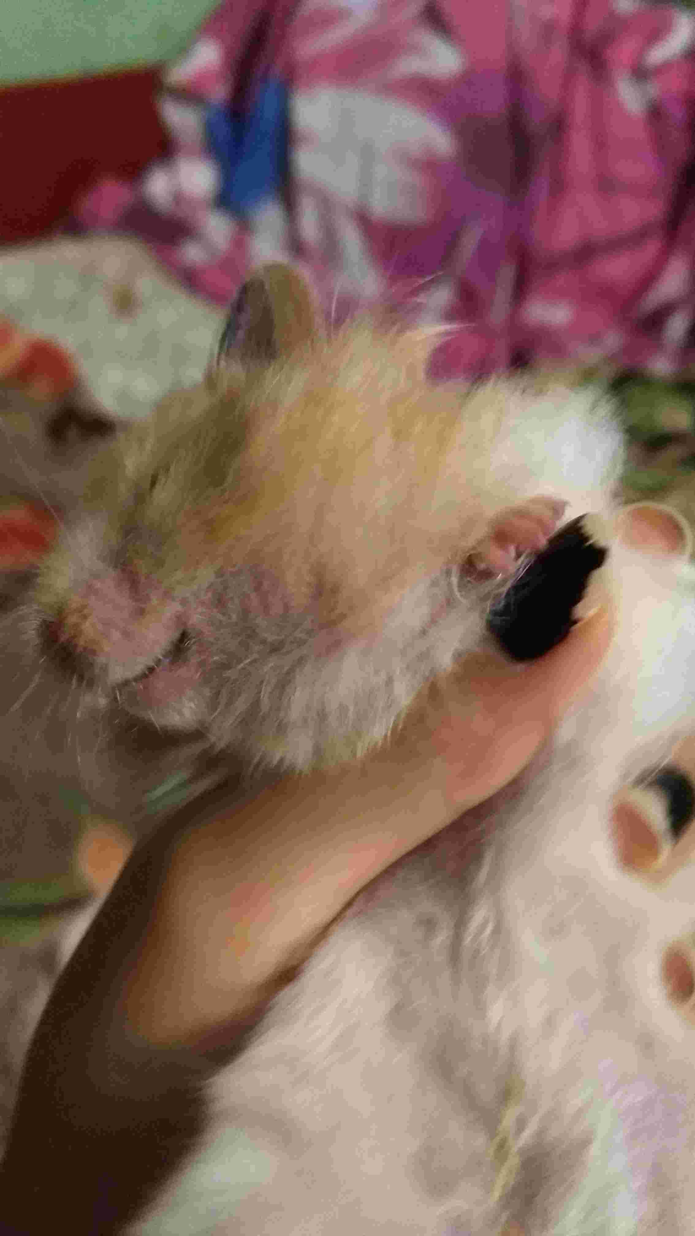 Question details sensitive content