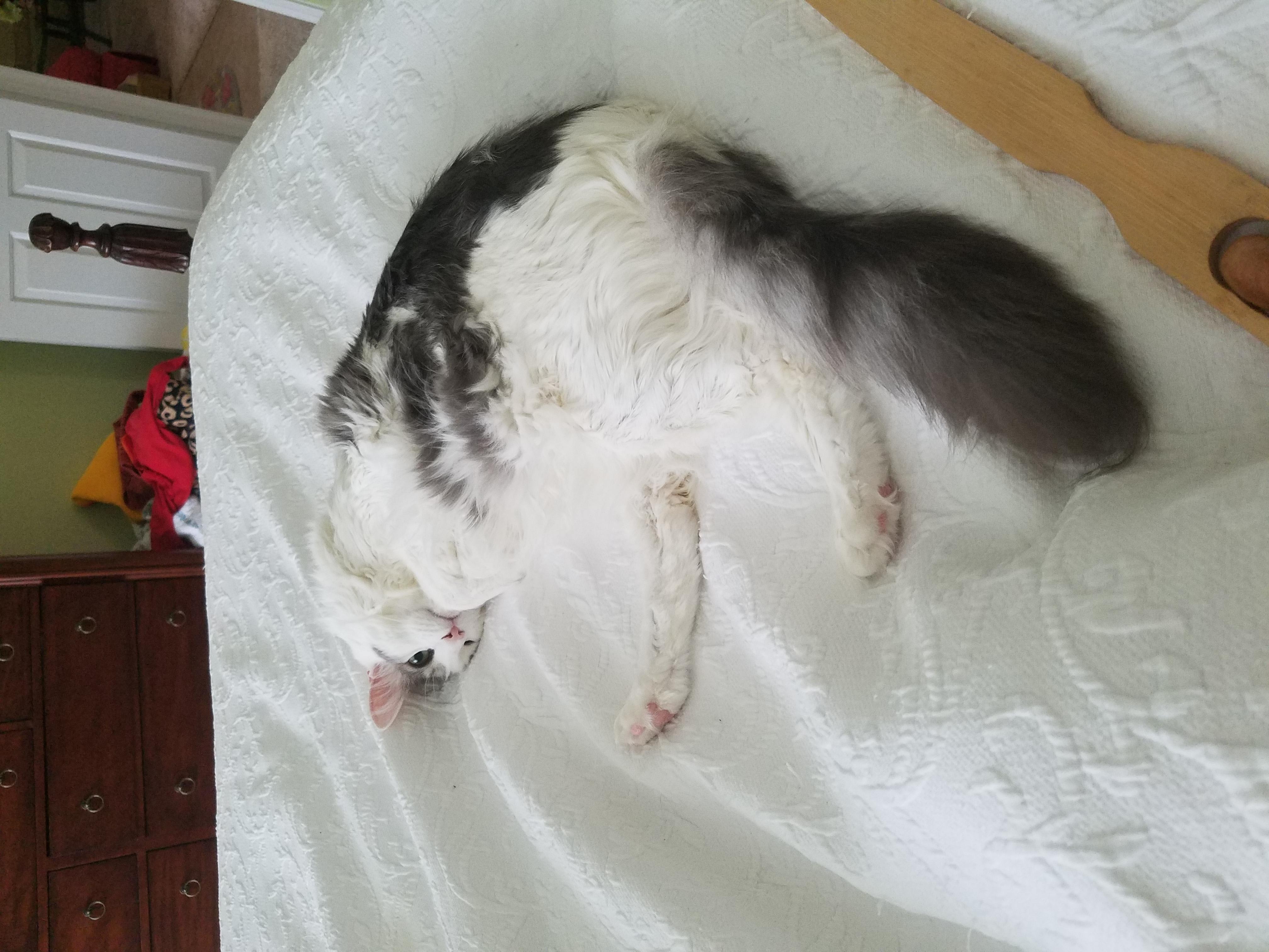 Question details sensitive content