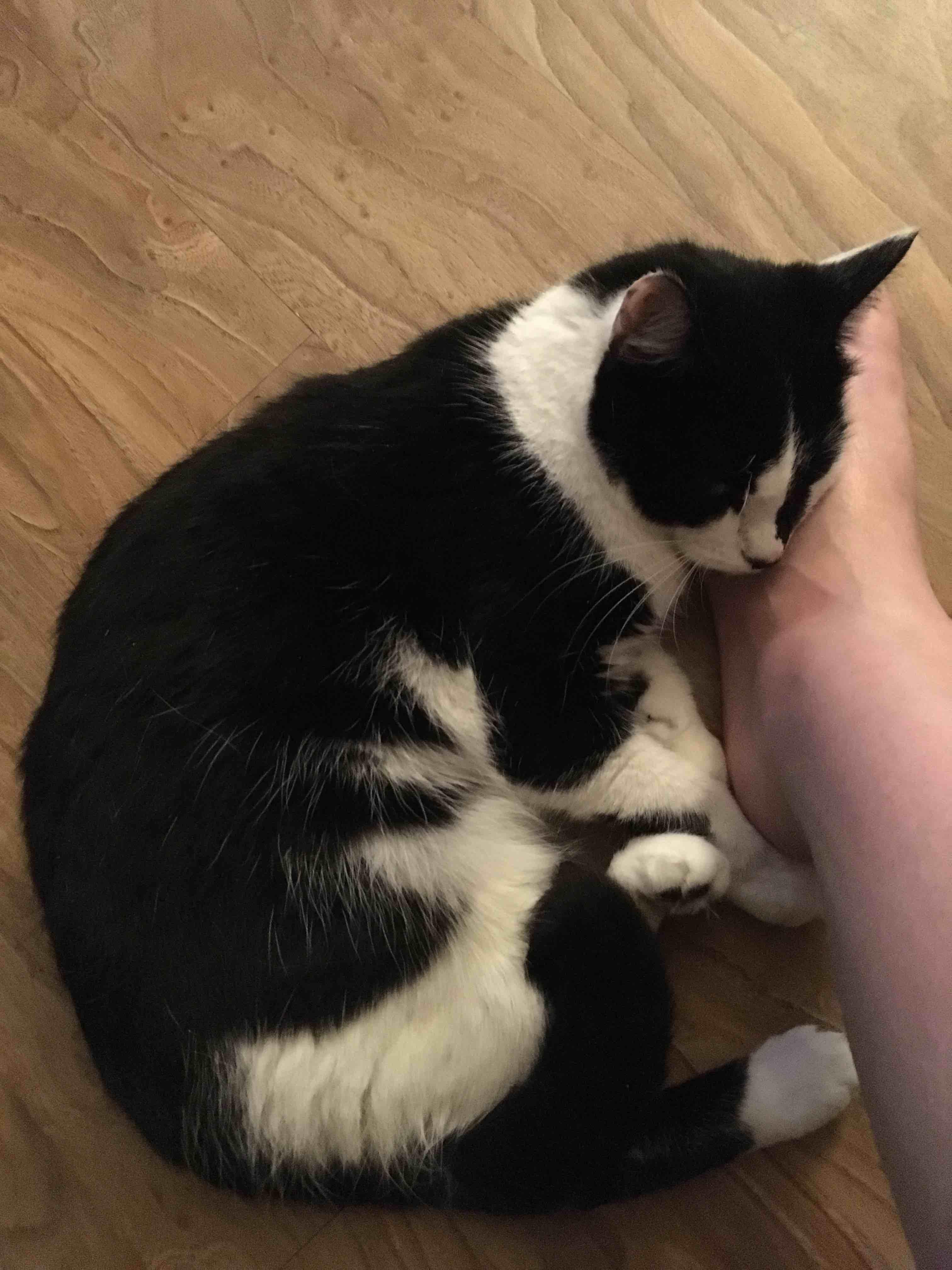 Question details sensitive content